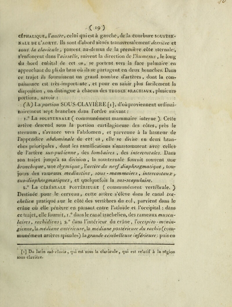 céphalique y Vautre, celüî qui est à gaudié,de la courbure sousI'ek- NaLE de l’aorte. Ils sont d’abord situés transversalement derrière et sous la clavicule, passent au-dessus de la première côte sternale, s’enfoncent dans Vaisselle, suivent la direction de Vhumcms , le long du bord cubital de cet os, se portent vers la face palmaire en approchant du pli du bras où ils se partagent en deux branches. Dans ce trajet ils fournissent un grand nombre d’artères , dont la con- naissance est très-importante , et pour en saisir plus facilement la disposition , on distingue à chacun des troncs brachiaux, plusieurs portions, savoir : ('A) La portion SOUS-CLAVIERE [i] , d’où proviennent erdinai- hairement sept branches dans l’ordre suivant : i.° La sol’sternale ( communément mammaire interne ). Cette artère descend sous la portion cartilagineuse des côtes, près le sternum, s’avance vers l’abdomen, et parvenue à la hauteur de l’appendice abdominale de cèt os , elle se divise en deux bran- ches principales , dont les ramifications s’anastomosent avec celles de l’artère sus-pubienne, des lombaires , des intercostales. Dans son trajet jusqu’à sa division , la sousternale fournit souvent une bronchique, une thymique } V artère du nerf diaphragmatique } tou- jours des rameaux mediaslins , sûus - mammaires , intercostaux } sus-diaphragmatiques, et quelquefois la sus-scapulaire. i.° La cérébrale Postérieure ( communément vertébrale. ) Destinée pour le cerveau, cette artère s’élève dans le canal tra- chelicn pratiqué sur le côté des vertèbres du col, parvient dans le crâne où elle pénètre en passant entre l’atloïde et l’occipital : dans ce trajet, elle fournit, i,° dans le canal trachelien, des rameaux muscu- laires, rachidiens ; 2,.0 dans l’intérieur du crâne, Voccipito - menin- gicnne, la médiane antérieure, la médiane postérieure du rachis (com- munément artères spinales) la grande cérébelleuse inférieure : puis en [1] Du latin sub clavia, qui est sous la clavicule, qui est relatif à la région sous clavière.