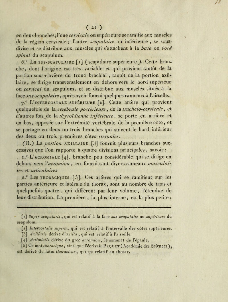 // C *1 ) en deux branches; l’une cervicale ou supérieure se ramifie aux muscles de la région cervicale ; l’autre scapulaire ou inférieure , se sous- divise et se distribue aux muscles qui s’attachent à la base ou bord spinal du scapulum. 6.° La sus-scapulaire £t] (scapulaire supérieure ). Celte bran- che, dont l’origine est très-variable et qui provient tantôt de la portion sous-clavière du tronc brachial , tantôt de la portion axil- laire , se dirige transversalement en dehors vers le bord supérieur ou cervical du scapulum, et se distribue aux muscles situés à la face sus-scapulaire, après avoir fourni quelques rameaux à l’aisselle. 7.0 L’intercostale supérieure [2]. Cette artère qui provient quelquefois de la cérébrale postérieure, de la trachelo-cervicale, et d’autres fois de la thyroïdienne inférieure, se porte en arrière et en bas, apposée sur l’extrémité vertébrale de la première côte, et se partage en deux ou trois branches qui suivent le bord inférieur des deux ou trois premières côtes sternales. (Yb.) La portion axillaire [3] fournit plusieurs branches suc- cessives que l’on rapporte à quatre divisions principales, savoir : i.° L’acromiale [4], branche peu considérable qui se dirige en dehors vers Y acromion , en fournissant divers rameaux musculai- res et articulaires 2.0 Les thoraciques [5]. Ces artères qui se ramifient sur les parties antérieure et latérale du thorax, sont au nombre de trois et quelquefois quatre , qui diffèrent par leur volume, l’étendue de Leur distribution. La première , la plus interne, est la plus petite; [1] Super scapularis, qui est relatif à la face sus-scapulaire ou supérieure du scapulum. [2] Inlercostalis sapera, qui est relatif à l’intervalle des côtes supérieures. [3] Axillaris dérive d'axilla , qui est relatif à l’aisselle. [4] Acrimialis dérive du grec acromion, le sommet de l'épaule. [5] Ce mot thoracique, ainsi que l’écrivait Pequet (Académie des Sciences), est dérivé du latin thoracicus, qui est relatif au thorax.