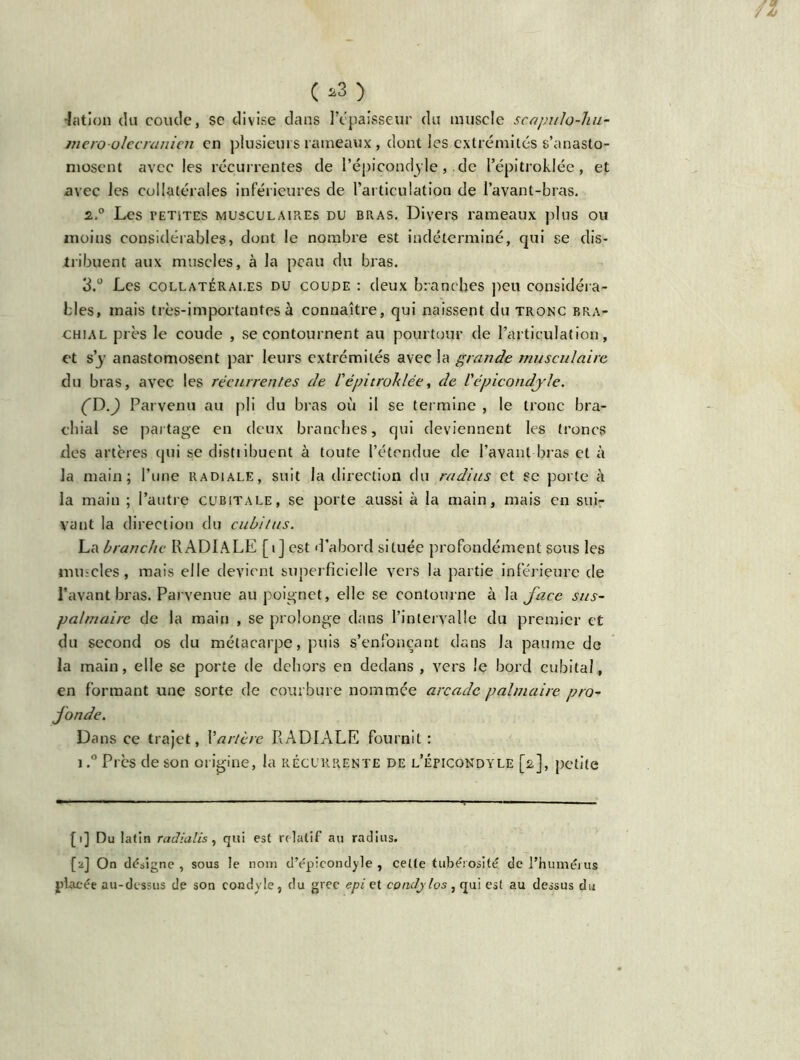 ( *3 > •Jation du coude, se divise dans l’c'paisseur du muscle scapulo-hu- mero-olecranien en plusieurs rameaux, dont les extrémités s’anasto- mosent avec les récurrentes de P épicondyle , .de l’épi troklée , et avec les collatérales inférieures de l’articulation de l’avant-bras. 2. ° Les petites musculaires du bras. Divers rameaux plus ou moins considérables, dont le nombre est indéterminé, qui se dis- tribuent aux muscles, à la peau du bras. 3. ° Les collatérales du coude : deux branches peu considéra- bles, mais très-importantes à connaître, qui naissent du tronc bra- chial près le coude , se contournent au pourtour de l’articulation, et s’y anastomosent par leurs extrémités avec la grande musculaire du bras, avec les récurrentes de Vépi troklée, de l'épicondyle. (D.J Parvenu au pli du bras où il se termine , le tronc bra- chial se partage en deux branches, qui deviennent les troncs des artères qui se distribuent à toute l’étendue de l’avant bras et à la main; l’une radiale, suit la direction du radius et se porte h la main ; l’autre cubitale, se porte aussi à la main, mais en sui- vant la direction du cubitus. La branche RADIALE [i] est d’abord située profondément sous les mincies, mais elle devient superficielle vers la partie inférieure de Pavant bras. Parvenue au poignet, elle se contourne à la face sus- palmaire de la main , se prolonge dans l’intervalle du premier et du second os du métacarpe, puis s’enfonçant dans la paume de la main, elle se porte de dehors en dedans , vers !ç bord cubital, en formant une sorte de courbure nommée arcade palmaire pro- fonde. Dans ce trajet, Xartère RADIALE fournit : i.° Près de son origine, la récurrente de l’épicondyle [2], petite [1] Du latin radialis , qui est relatif au radius. [2] On désigne , sous le nom d’épicondyle , cette tubérosité de l’humérus placée au-dessus de son condyle, du grec epi et cpndjlos, qui est au dessus du