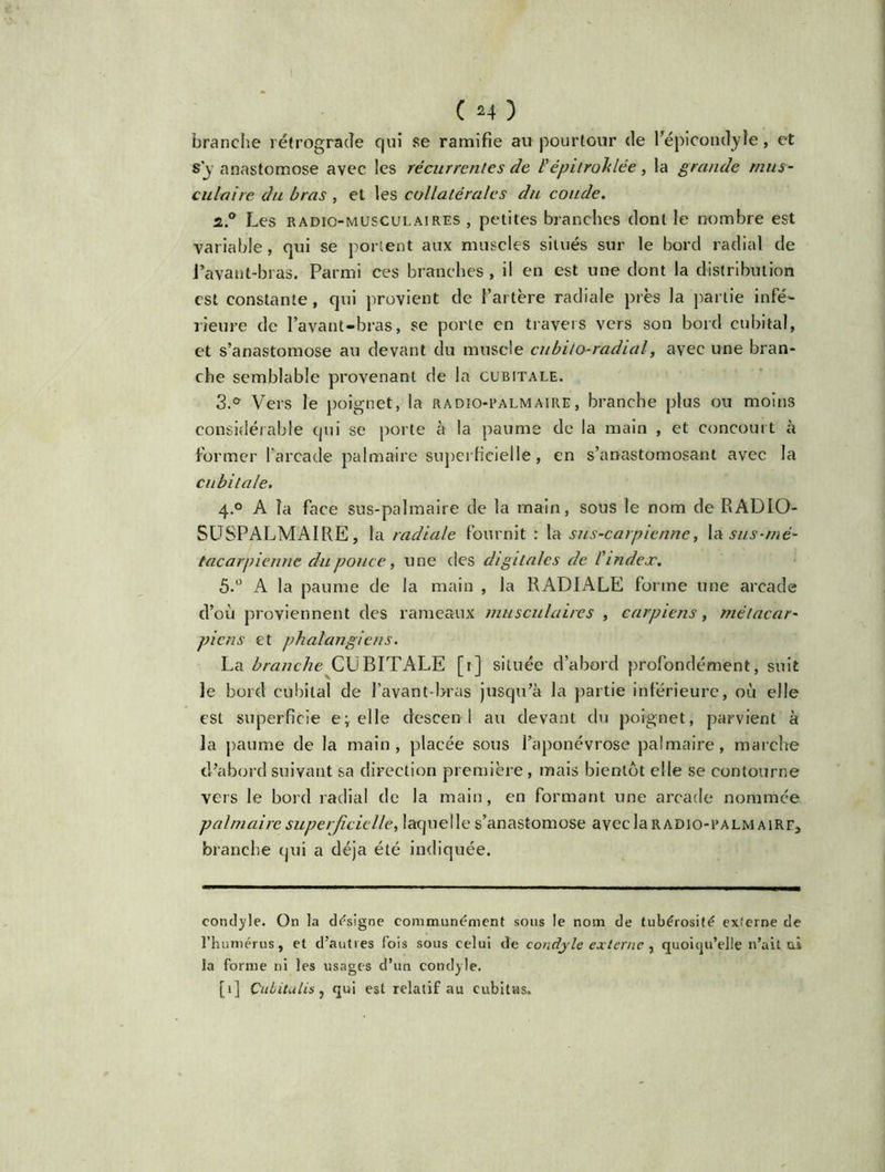 branche rétrograde qui se ramifie au pourtour de l’épicondyle, et S'y anastomose avec les récurrentes de l'épitrohlée, la grande mus- culaire du bras , et les collatérales du coude. 2.0 Les radio-musculaires, petites branches dont le nombre est variable, qui se portent aux muscles situés sur le bord radial de l’avant-bras. Parmi ces branches , il en est une dont la distribution est constante, qui provient de l’artère radiale près la partie infé- rieure de l’avant-bras, se porte en travers vers son bord cubital, et s’anastomose au devant du muscle cubito-radial, avec une bran- che semblable provenant de la cubitale. 3.& Vers le poignet, la radio-palmaire, branche plus ou moins considérable qui se porte à la paume de la main , et concourt à former l’arcade palmaire superficielle, en s’anastomosant avec la cubitale. 4.0 A la face sus-palmaire de la main, sous le nom de RADIO- SUSPALMAIRE, la radiale fournit : la sus-carpienne, la sus-mé- tacarpienne du pouce, une des digitales de l'index. 5.° A la paume de la main , la RADIALE forme une arcade d’où proviennent des rameaux musculaires , earpiens, métacar- piens et phalangiens. La branche CUBITALE [r] située d’abord profondément, suit le bord cubital de l’avant-bras jusqu’à la partie inferieure, où elle est superficie e; elle descend au devant du poignet, parvient à la paume de la main, placée sous l’aponévrose palmaire, marche d’abord suivant sa direction première, mais bientôt elle se contourne vers le bord radial de la main, en formant une arcade nommée palmaire superficielle, laquelle s’anastomose avec la radio-palmaire» branche qui a déjà été indiquée. concilie. On la désigne communément sous le nom de tubérosité externe de l’humérus, et d’autres fois sous celui de condjle externe , quoiqu’elle n’ait ni la forme ni les usages d’un condyle. [1] Çiibitalis , qui est relatif au cubitus.