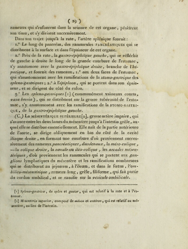 rameaux qui s’enfoncent clans la scissure de cet organe, pénètrent son tissu , et s’y divisent successivement. Dans son trajet jusqu’à la rate, l’artère splénique fournit : i.° Le long du pancréas, des ramuscules pancréatiques qui se distribuent à la surface et dans l’épaisseur de cet organe. 2.0 Près de la rate , la gastro-épiploïque gauche, qui se réfléchit de gauche à droite le long de la grande courbure de l’estomac , s’y anastomose avec la gastro-épiploïque droite, branche de l’hé- patique, et fournit des rameaux, i.° aux deux faces de l’estomac, qui s’anastomosent avec les ramifications de la stomo-gastrique des spleno-gastriques ; 2.0 à Yépiploon , qui se portent dans son épais- seur , et se dirigent du côté du colon. 5.0 Les spleno-gastriques [1] (communément vaisseaux courts, rasa brévia ) , qui se distribuent sur la grosse tubérosité de l’esto- mac , s’y anastomosent avec les ramifications de la stomo-gastri- que , de la gastro-épiploïque gauche. (C.) La mésentérique supérieure[2], grosseartère impaire, qui s’avance entre les deux lames du mésentère jusqu’à l’intestin grêle, au- quel elle se distribue essentiellement. Elle naît de la partie antérieure de l’aorte, se dirige obliquement en bas du côté de la cavité iliaque droite , en formant une courbure d’où proviennent succes- sivement des rameaux pancréatiques, duodenaux, la méso-colique } — la colique droite , la cœcale ou iléo-colique , les arcades mésen- tériques j d’où proviennent les ramuscules qui se portent aux gan- glions lymphatiques du mésentère et les ramifications nombreuses qui se distribuent au jéjunum , à l’ileum, et dans le fœtus , Vom- biiicu-mésentérique , rameau long , grêle , filiforme , qui fait partie du cordon ombilical, et se ramifie sur la vésicule ombilicale. [1] Sple/10-gaslricœ , de splen et gaster, qui est relatif à la rate et à l’es- lomac. [2] Mcscntcria svperior, composé de mésos et enléron , qui est relatif au mé- sentère, au lien de l’intestin.