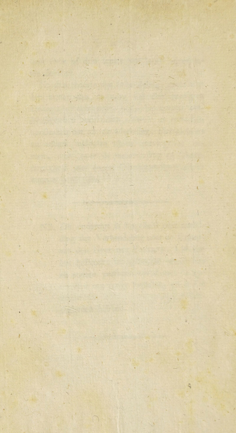 J ; S s * i J \ . * X ' / ti c A V l y i \ I Y ' '. % I <■ N \ v s K \ > /