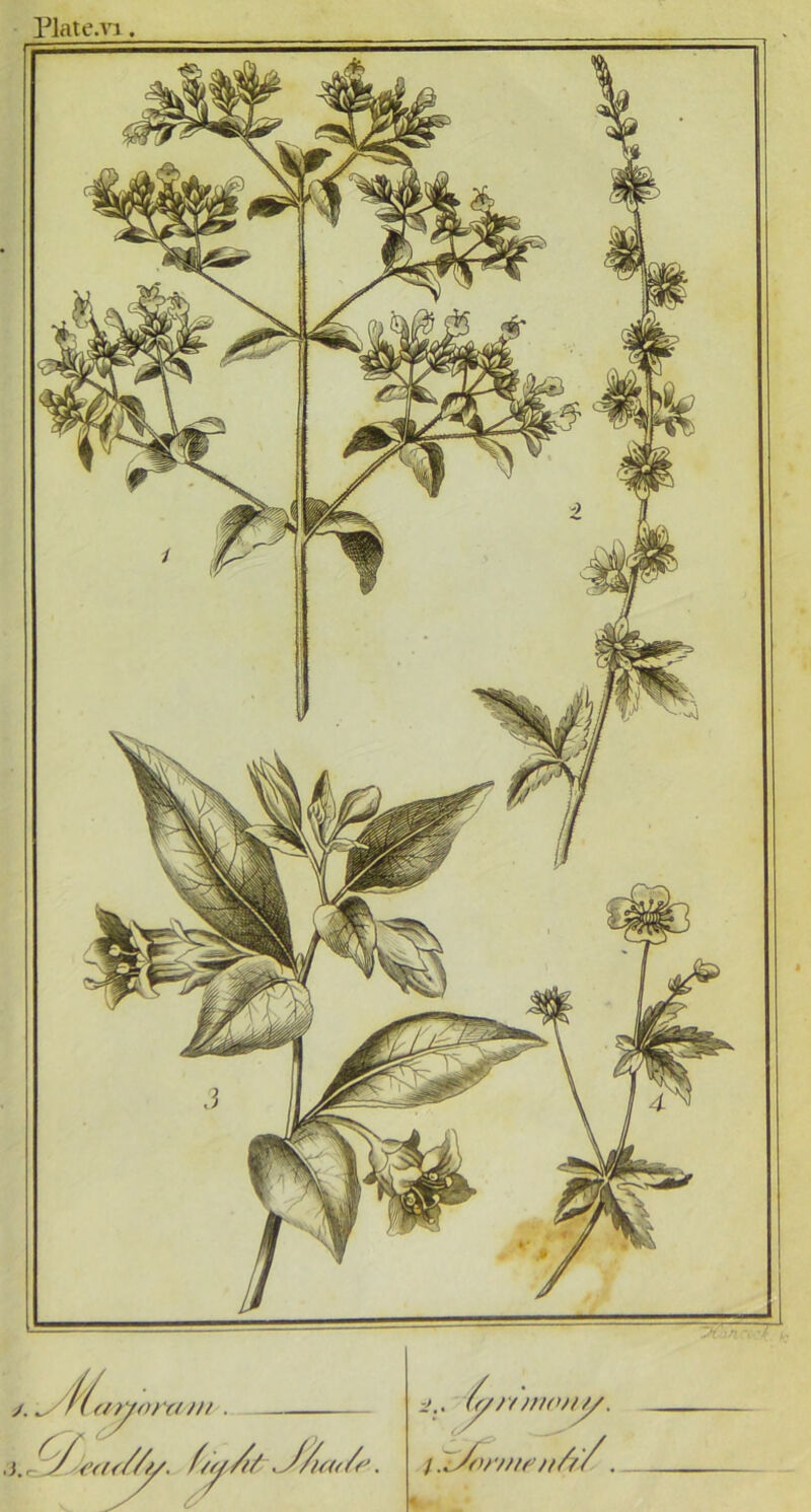 Plate.vi ora/u . fy// f/n/wj/y. iXZwtif'tifr'/,