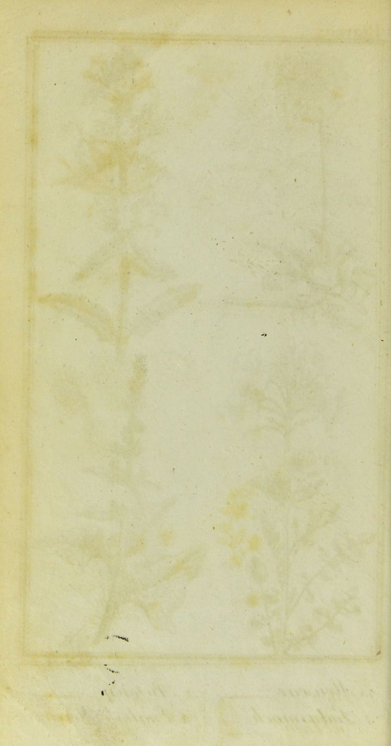 4 I