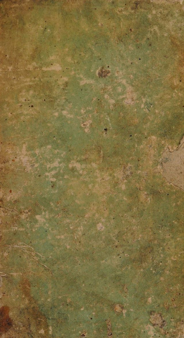 digitised image 1