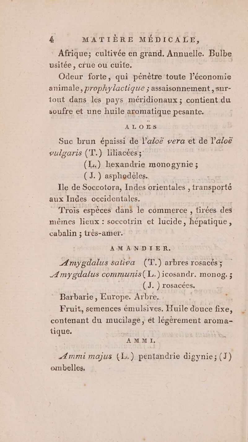 Afrique; cultivée en grand. Annuelle. Bulbe usitée , crue ou cuite, | Odeur forte, qui pénètre toute l’économie animale, prophylactique ; assaisonnement ,sur- tout dans les pays méridionaux; contient du soufre et une huile aromatique pesante. ALOES Suc brun épaissi de l’afoe vera et de Le vulgaris ('T.) liliacéés (1) hexandrie monogynie ; (JS. ) asphodéeles. Ile de Soccotora, Indes orientales , transporté aux Indes occidentales. PS ol © Trois espèces dans le commerce , tirées des mêmes lieux : soccotrin et lucide, ets : cabalin ; trés-amer. AMANDIER. Amygdalus satisa (T.) arbres rosacés; A mygdalus communs ( L.)icosandr. monog. ; DORE ) rosacées, | Barbarie, Europe. Arbre. L 2 Fruit, semences émulsives. Huile douce fixe, rue du mucilage, ét légèrement aroma- tique. % | | AMMI. mmi majus (1) pentandrie digynie;(J) ombelles.