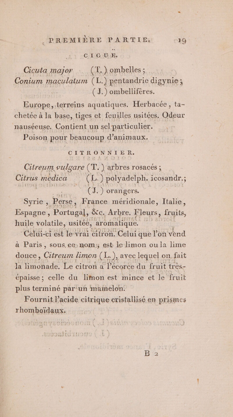 C I G UE. Cicuta major (FE. )ombelles; Conium maculatum (L.) pentandri ie digynie ; ( J.) ombelliféres. Europe, .terreins aquatiques. Herbacée, ta- chetée à la base, tiges et feuilles usitées. Odeur nauséeuse. Contient un selparticulier. s Poison pour beaucoup d'animaux. CITRONNIER. … Citreum vulgare (T.) arbres rosacés ; Citrus medica (1 L ) polyadelph. icosandr.; ; in ct je 7 (3. | orangers. Syrie ;. Perse, France méridionale, Italie, Espagne, Portugal, &amp;c. Arbre. Fleurs, JSuRS, huile volatile, usitée, aromatique. HA mage Celui-ci est le vrai citron, Celui que l’on vend a Paris, sous. ce nom; est Le limon ou la lime douce, Citreum limon CE. 1# avec lequel on. fait la ps fe Le citron a l'écorce du fruit très- épaisse; celle du limon est mince et le fruit plus terminé par'un mamelon. Fournit Pacide citrique cristallisé en prismes rhomboïdaux.