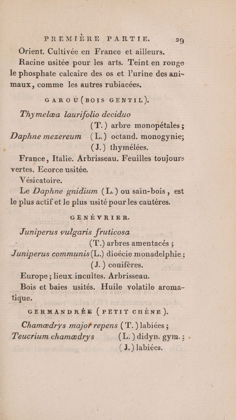 Orient. Cultivée en France et ailleurs. Racine usitée pour les arts. Teint en rouge le phosphate calcaire des os et l’urine des ani- maux, comme les autres rubiacées, GAROU(BOIS GENTIL). Thymelæa laurifolio deciduo (T.) arbre monopétales ; Daphne mezereum (IL) octand. monogynie; (J.) thymélées. France, Italie. Arbrisseau. Feuilles toujours vertes. Ecorce usitée. | Vésicatoire. Le Daphne gnidium (1L.) ou sain-bois, est le plus actif et le plus usité pour les cautères. GENÉVRIER. Juniperus vulgaris fruticosa ( T°.) arbres amentacés ; Juniperus communis(L.) dioécie monadelphie ; (JS. ) conifères. Europe ; lieux incultes. Arbrisseau. _ Bois et baies usités. Huile volatile aroma- tique. Le (GERMANDRÉE (PETIT CHÈNE ). Chamædrys majof repens (T.) labiées ; T'eucrium chamædrys (L.) didyn. gym. ; . | ( 3.) labiées.