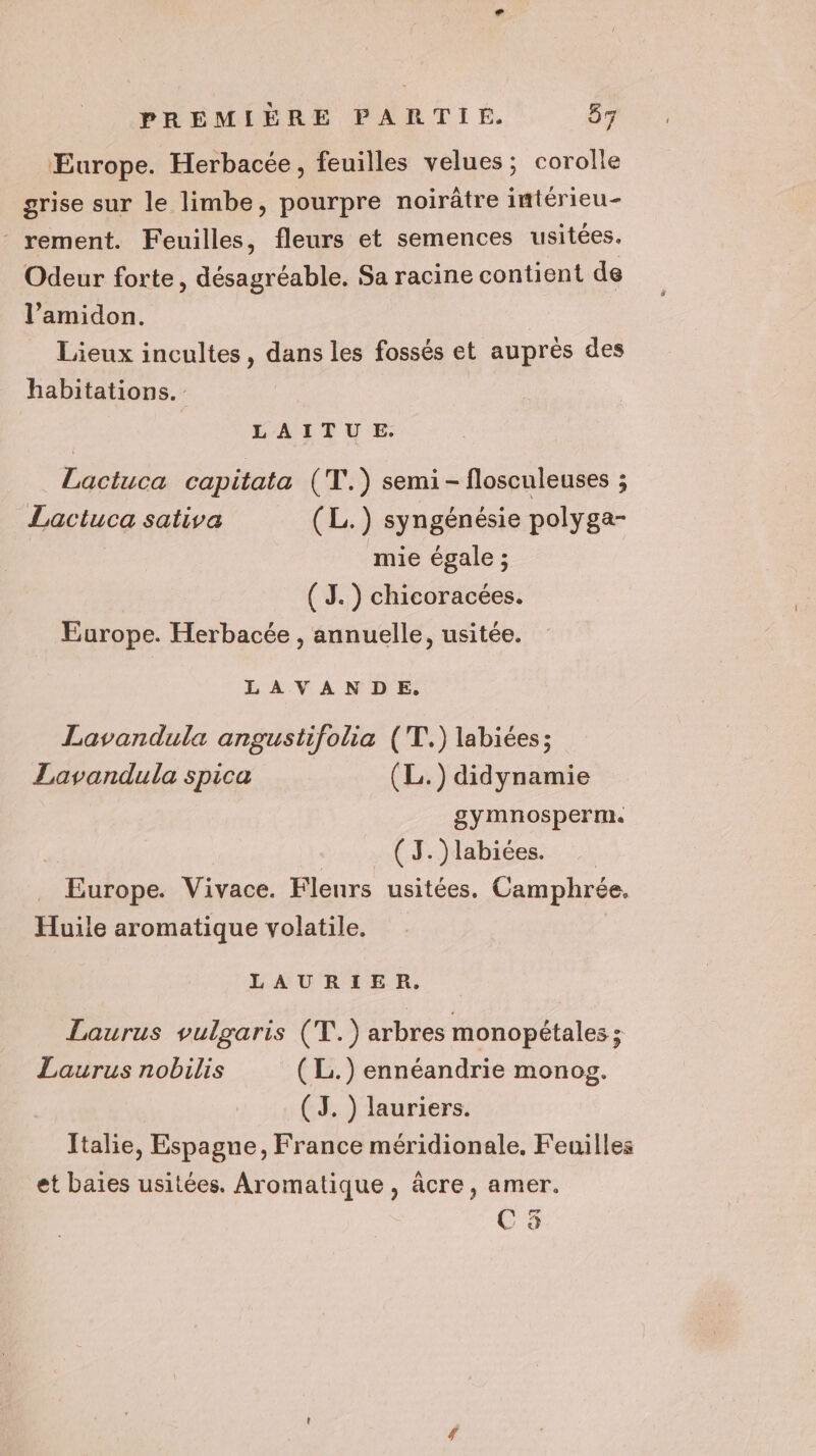 4 Europe. Herbacée, feuilles velues; corolle grise sur le limbe, pourpre noirâtre imtérieu- rement. Feuilles, fleurs et semences usitées. Odeur forte, désagréable. Sa racine contient de l’amidon. Lieux incultes, dans les fossés et auprés des habitations. LAITU _E. Lactuca capitata (T.) semi - flosculeuses ; Lactuca sativa (L.) syngénésie polyga- mie égale ; (J.) chicoracées. Europe. Herbacée , annuelle, usitée. LAVANDE, Lavandula angustifolia (T.) labiées; Lavandula spica (L.) didynamie gymnosperme. (J.)labiées. Europe. Vivace. Fleurs usitées. Camphrée. Huile aromatique volatile. LAURIER. Laurus vulgaris (T.) arbres monopétales ; Laurus nobilis (L.) ennéandrie monog. (J. ) lauriers. Italie, Espagne, France méridionale. Feuilles et baies usitées. Aromatique, âcre, amer. C5