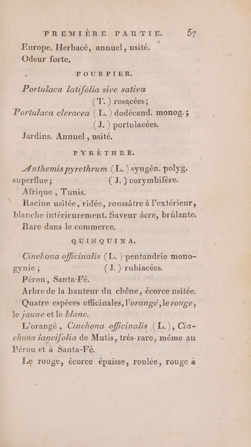 Fe] Europe. Herbacé, annuel, usité. Odeur forte, - POURPIER. Portulaca latifolia sive sativa ('T.) rosacées; Portulaca cleracea ( L.) dodécand. monog. ; (J.) portulacées. Jardins. Annuel , usité. PYRÈTHRE. Anthemis pyrethrum (1. ) syngén. polys. superflue ; ( J. ) corymbifére. Afrique , Tunis. | Racine usitée, ridée, roussâtre à l’extérieur, blanche intérieurement. Saveur âcre, brülante. - Rare dans le commerce. | QUINQUINA. Cinchona officinalis (Li. ) pentandrie mono- gynie ; (J.) rubiacées. Pérou, Santa-Fé. Arbre de la hauteur du chêne, écorce usitée. Quatre espèces officinales, l’orangé ,lerouge, le jaune et le blanc. L’orangé, Cinchona officinalis (L.), Cin- chona lancifolia de Mutis, très-rare, même au Pérou et à Santa-Fé. Le rouge, écorce épaisse, roulée, rouge a