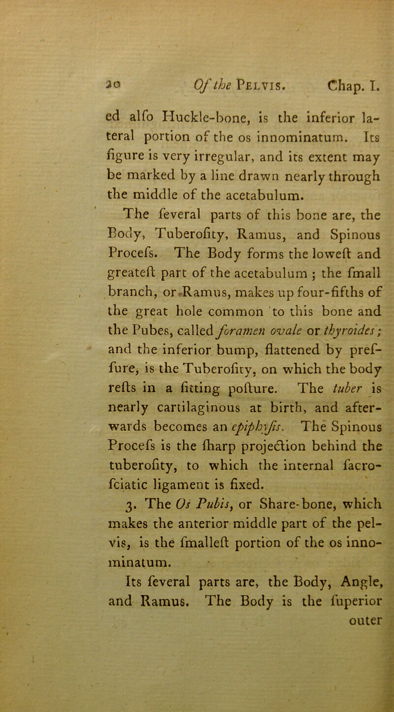 ed alfo Huckle-bone, is the inferior la- teral portion of the os innominatum. Its figure is very irregular, and its extent may be marked by a line drawn nearly through the middle of the acetabulum. The feveral parts of this bone are, the Body, Tuberofity, Ramus, and Spinous Procefs. The Body forms the loweft and greateft part of the acetabulum ; the fmall branch, or Ramus, makes up four-fifths of the great hole common to this bone and the Pubes, called foramen ovale or thyroides ; and the inferior bump, flattened by pref- fure, is the Tuberofity. on which the body refts in a fitting pofture. The tuber is nearly cartilaginous at birth, and after- wards becomes an epiphyfis. The Spinous Procefs is the fharp projection behind the tuberofity, to which the internal facro- fciatic ligament is fixed. 3. The Os Pubis, or Share-bone, which makes the anterior middle part of the pel- vis, is the fmalleft portion of the os inno- minatum. Its feveral parts are, the Body, Angle, and Ramus. The Body is the fuperior outer