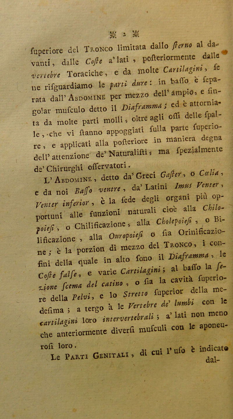 fuperiore del Tronco limitata dallo /lento al da- ^ vanti, dalle Cofte a' lati , poziormente dalle vertebre Toraciche, e da molte Cartilagini, & ne riguardiamo le p*r» d«rr : m ha o e ep rata dall’ AaooMtN, per mezzo dell’ ««Pi- golar mufculo detto il Diaframmi ed e attor fa da molte parti molli, oltre agli offi delle fpal- le , • che vi Hanno appoggiati folla parte fupeno- re, e applicati alla poziore in mamera degna dell’attenzione de’ Naturali. »» fpez.almente de’ Chirurghi offervatori. L’AbdomiNE, detto da’Greci Gafter, o Cecità, e da noi Baffo ventre , da’ Latini /** Ventei; Venter inferior, è la fede degli Organi pm op- portuni alle funzioni naturali eoe alla Ch o Chilificazione, alla Cholefojeft , oB Spione . alla 0,tronfi o fi. Ormificazio- ne . è la porzion di mezzo del Tronco, i co - ne ’ 1 . , fono il Diaframma, le fini della quale m alto tono t j „ a, fa,re e varie Cartilagini ; al baffo la J Cofte falje, e '<« * fimerio- ùone (cerna del catino , o ^ la P re della Beivi, e lo Stretto fupertor della me , C , . a tergo à le Vertebre de’ lambì con cartilagini loro intervertebrali ; a’ lati non meno a»» ““ ”