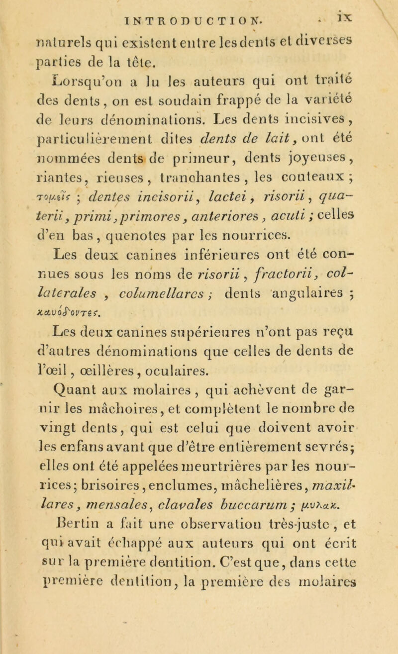 * naturels qui existent entre les dents et diverses parties de la tête. Lorsqu’on a lu les auteurs qui ont traité des dents, on est soudain frappé de la variété de leurs dénominations. Les dents incisives , particulièrement dites dents de lait, ont été nommées dents de primeur, dents joyeuses, riantes, rieuses, tranchantes , les couteaux; Topiïç ; déniés incisorii, lactci, risorii, qua- terii, primi>primores > anteriores > acuti ; celles d’en bas, quenotes par les nourrices. Les deux canines inférieures ont été con- nues sous les noms de risorii, fractoriiy col- laterales , columellares ; dents angulaires ; KctvoS'ov Têr. Les deux canines supérieures n’ont pas reçu d’autres dénominations que celles de dents de l’œil, œillères, oculaires. Quant aux molaires, qui achèvent de gar- nir les mâchoires, et complètent le nombre de vingt dents, qui est celui que doivent avoir les enfans avant que d’être entièrement sevrés; elles ont été appelées meurtrières par les nour- rices; brisoires, enclumes, mâchelières, maxil'« lares, mensales, clavales buccarum ; pvxctx.. Berlin a fait une observation très-juste , et qui avait échappé aux auteurs qui ont écrit sur la première dentition. C’est que, dans cette première dentition, la première des molaires