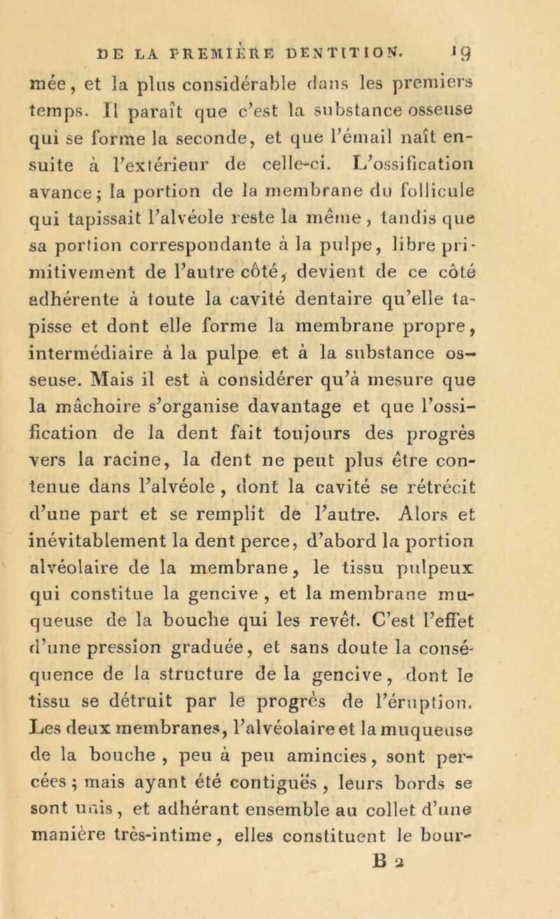 mée, et la plus considérable dans les premiers temps. Il paraît que c’est la substance osseuse qui se forme la seconde, et que l’émail naît en- suite à l’extérieur de celle-ci. L’ossification avance; la portion de la membrane du follicule qui tapissait l’alvéole reste la même, tandis que sa portion correspondante à la pulpe, libre pri- mitivement de l’autre côté, devient de ce côté adhérente à toute la cavité dentaire qu’elle ta- pisse et dont elle forme la membrane propre, intermédiaire à la pulpe et à la substance os- seuse. Mais il est à considérer qu’à mesure que la mâchoire s’organise davantage et que l’ossi- fication de la dent fait toujours des progrès vers la racine, la dent ne peut plus être con- tenue dans l’alvéole , dont la cavité se rétrécit d’une part et se remplit de l’autre. Alors et inévitablement la dent perce, d’abord la portion alvéolaire de la membrane, le tissu pulpeux qui constitue la gencive, et la membrane mu- queuse de la bouche qui les revêt. C’est l’effet d’une pression graduée, et sans doute la consé- quence de la structure de la gencive, dont le tissu se détruit par le progrès de l’éruption. Les deux membranes, l’alvéolaire et la muqueuse de la bouche , peu à peu amincies, sont per- cées ; mais ayant été contiguës, leurs bords se sont unis, et adhérant ensemble au collet d’une manière très-intime, elles constituent le bour-