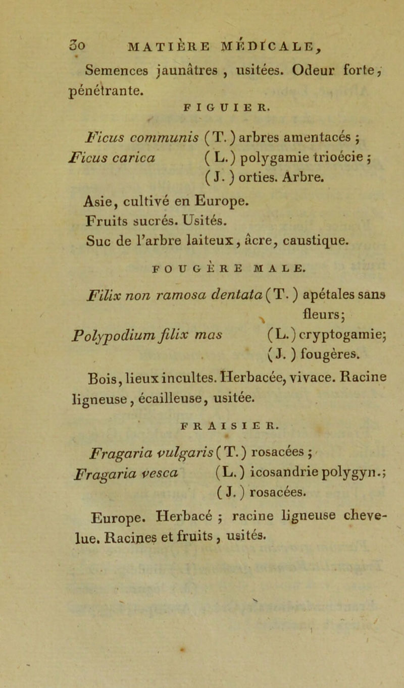 Semences jaunâtres , usitées. Odeur forte, pénétrante. FIGUIER. Ficus communis ( T. ) arbres amentacés ; Ficus carica ( L.) polygamie trioécie ; ( J. ) orties. Arbre. Asie, cultivé en Europe. Fruits sucrés. Usités. Suc de l’arbre laiteux, âcre, caustique. fougère male. Filix non ramosa clentataÇT. ) apétales sans fleurs; Polypodium filix mas (L.)cryptogamie; ( J. ) fougères. Bois, lieux incultes. Herbacée, vivace. Racine ligneuse, écailleuse, usitée. FRAISIER. Fragaria vulgaris ( T. ) rosacées ; Fragaria vesca (L.) icosandrie polygyn.; ( J. ) rosacées. Europe. Herbacé ; racine ligueuse cheve- lue. Racines et fruits, usités. y i i