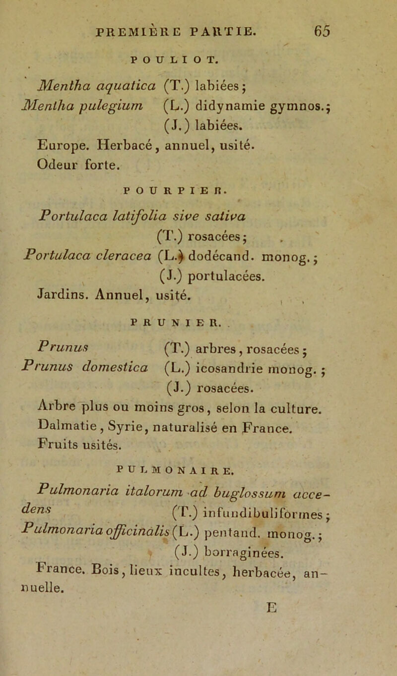 P O U L I O T. Mentha aquatica (T.) labiées ; Mentha pulegium (L.) didynamie gymnos.; (J.) labiées. Europe. Herbacé, annuel, usité. Odeur forte. pourpier. Portulaca latifolia sive saliva (T.) rosacées; Portulaca cleracea (L.^ dodécand. monog. ; (J.) portulacées. Jardins. Annuel, usité. PRUNIER.. Prunus (T.) arbres , rosacées ; Prunus domestica (L.) icosandrie monog. ; (J.) rosacées. Arbre plus ou moins gros, selon la culture. Dalmatie , Syrie, naturalisé en France. Fruits usités. PULMONAIRE. Pulmonana italorum ad buglossuni acca— dens (T.) infundibuliforrnes ; Pulmonaria ojficinàlis (L.) pentand. monog.; (J.) borraginées. France. Bois, lieux incultes, herbacée, an- nuelle. E