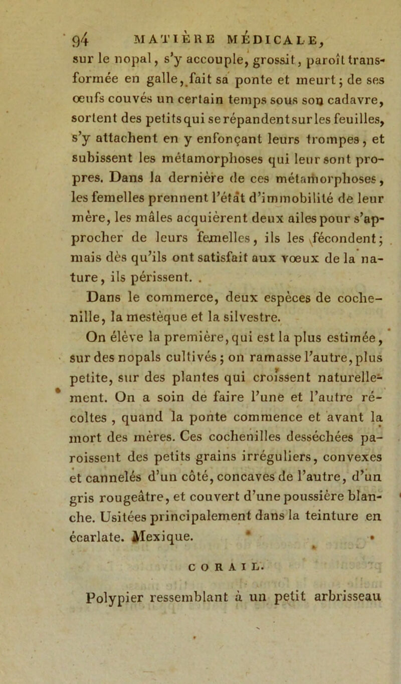sur le nopal, s’y accouple, grossit, paroîL trans- formée en galle, fait sa ponte et meurt; de ses oeufs couvés un certain temps sous son cadavre, sortent des petitsqui serépandentsurles feuilles, s’y attachent en y enfonçant leurs trompes, et subissent les métamorphoses qui leur sont pro- pres. Dans la dernière de ces métamorphoses, les femelles prennent l’étât d’immobilité de leur mère, les mâles acquièrent deux ailes pour s’ap- procher de leurs femelles, ils les vfécondent ; mais dès qu’ils ont satisfait aux voeux de la na- ture , ils périssent. . Dans le commerce, deux espèces de coche- nille, la mestèque et la silvestre. On élève la première, qui est la plus estimée, sur des nopals cultivés; on ramasse l’autre, plus petite, sur des plantes qui croissent naturelle- ment. On a soin de faire l’une et l’autre ré- coltes , quand la ponte commence et avant la mort des mères. Ces cochenilles desséchées pa- roissent des petits grains irréguliers, convexes et cannelés d’un côté, concaves de l’autre, d’un gris rougeâtre, et couvert d’une poussière blan- che. Usitées principalement dans la teinture en écarlate. Mexique. * • % CORAIL. Polypier ressemblant à un petit arbrisseau