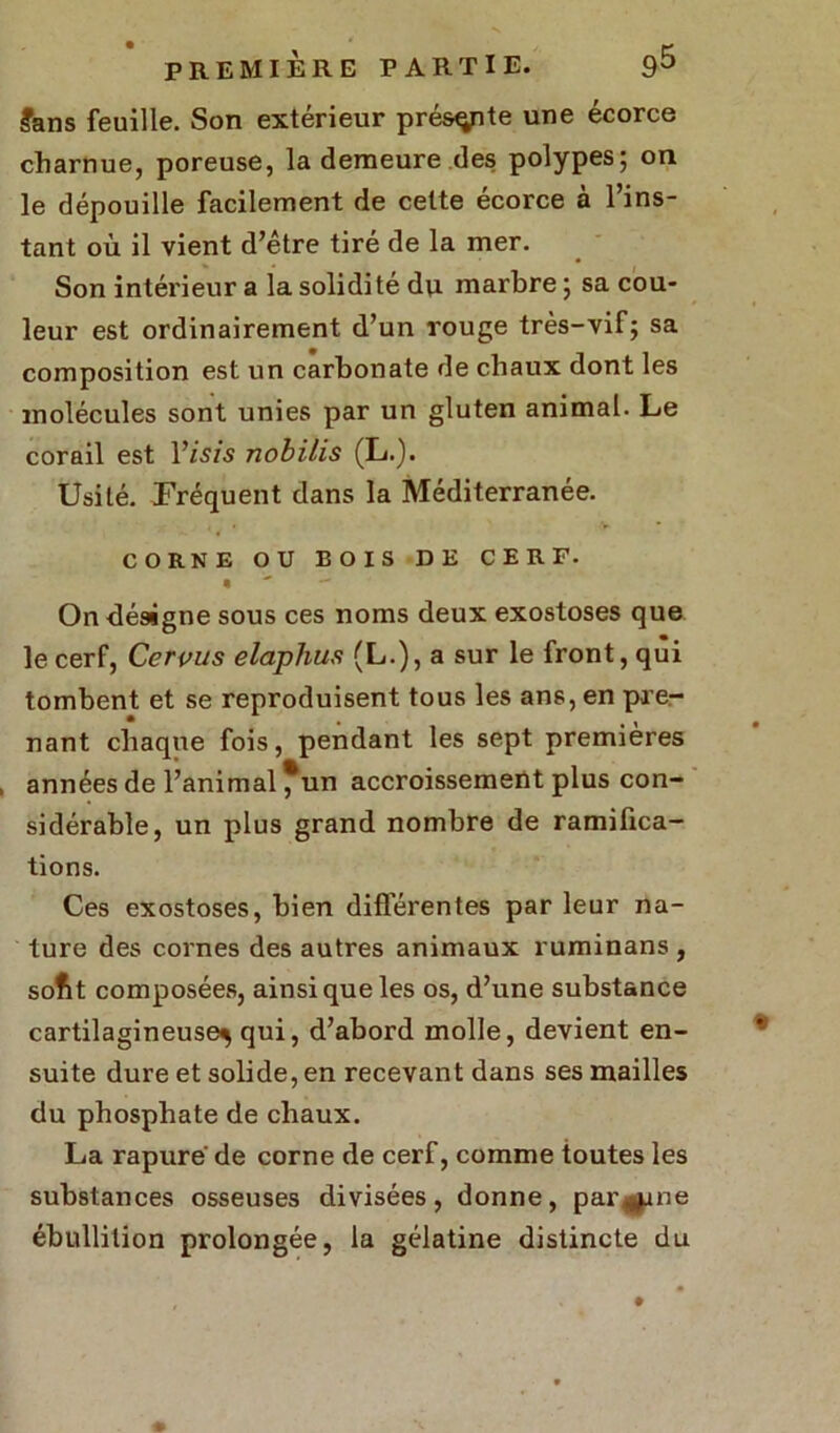 fans feuille. Son extérieur présente une écorce charnue, poreuse, la demeure des polypes; on le dépouille facilement de cette écorce à l’ins- tant où il vient d’être tiré de la mer. Son intérieur a la solidité du marbre ; sa cou- leur est ordinairement d’un rouge très-vif; sa composition est un carbonate de chaux dont les molécules sont unies par un gluten animal. Le corail est Yisis nobilis (L.). Usité. Fréquent dans la Méditerranée. CORNE OU BOIS DE CERF. « — On désigne sous ces noms deux exostoses que le cerf, Cervus elaphus (L.), a sur le front, qui tombent et se reproduisent tous les ans, en pre- nant chaque fois, pendant les sept premières années de l’animal *un accroissement plus con- sidérable, un plus grand nombre de ramifica- tions. Ces exostoses, bien différentes par leur na- ture des cornes des autres animaux ruminans , sofit composées, ainsi que les os, d’une substance cartilagineuse^ qui, d’abord molle, devient en- suite dure et solide, en recevant dans ses mailles du phosphate de chaux. La rapure de corne de cerf, comme toutes les substances osseuses divisées, donne, par^pne ébullition prolongée, la gélatine distincte du