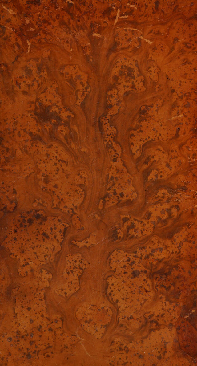 digitised image 1