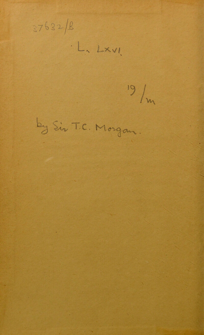 17 b 2 'i- /l » W’- ■ U l ^ ' Cl . , { tfx V S'