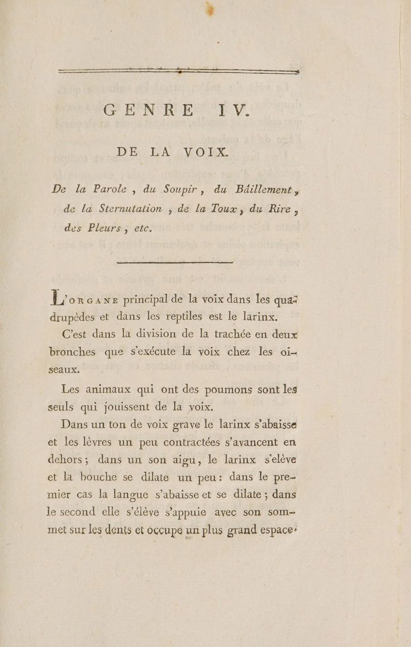 72 À CEN'ER EE. DEF. LA ;,VO'EX De la Parole , du Soupir, du Bdillement, de la Sternutation ; de la Toux, du Rire, des Pleurs , etc. Lo RGANE principal de la voix dans les qua: drupèdes et dans les reptiles est le larinx. C’est dans la division de la trachée en deux bronches que s'exécute la voix chez les oi- seaux. Les animaux qui ont des poumons sont les seuls qui jouissent de la voix. Dans un ton de voix grave le larinx s’abaisse et les lèvres un peu contractées s’avancent en dehors; dans un son aigu, le larinx s'elève et la bouche se dilate un peu: dans le pre- mier cas la langue s’abaisse et se dilate ; dans le second elle s'élève s'appuie avec son som- met sur les dents et occupe un plus grand espace: