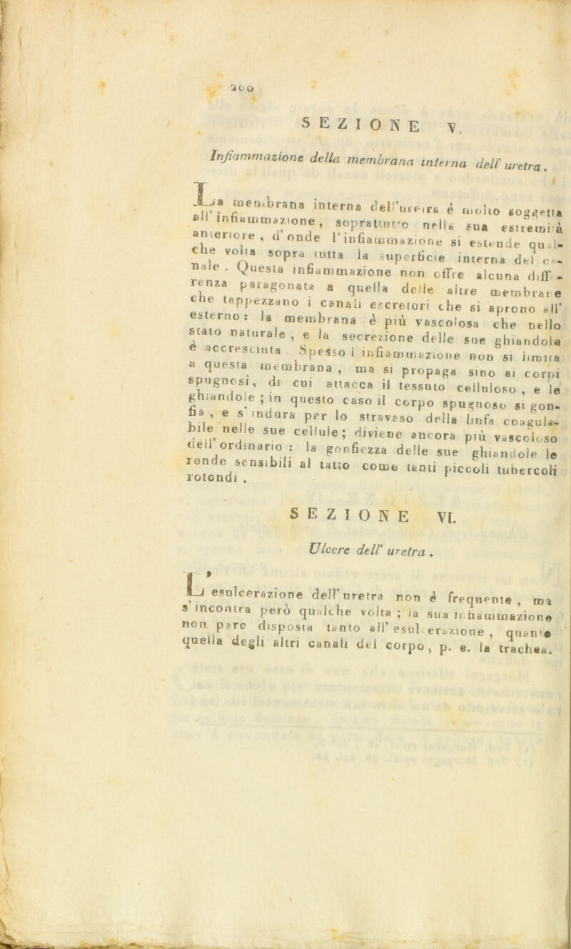 ‘AoO SEZIONE v. Infiammazione della membrana interna del!' uretra T -*-ja membrana interna rlpll’m-c. A 1 -II’ - r ierna (eterne,re e molto soggetta infiammazione, soprattutto nell* fu* esuerni à anteriore , d onde l'infiammazione .i esteuTTu * , VO''“ »°P«-* >»«• la superficie interna del c~ (<uesu infiammazione non offre alcuna rhff - .enea paragonata a quella delle altre membrane * ' uPH«**«»o ' canal, escretori che si aprono all' iUrno: la membrana è più vascolosa che uello , . ° na,nrale i e la secrezione delle sue ghiandole accresciuta .Spesso I infiammazione non si bruita ! “/<“»>«■>«, ma si propaga ,tn0 corpl spugnosi, di cui attacca il tessuto celluloso , e le ghiandole; in questo caso ,1 corpo spugnoso si con- ha e s indura per lo stravaso della linfa coagula- bile ne,.e sue cellule; diviene ancora più vascoloso dell ordinario : la gonfiezza delle sue ghiandole le rotondi**h*1^11 * UU° C0Qlt' fliccoli tubercoli SEZIONE VI. UIcere del! uretra . 3 ’ , esulcerazione dell'uretra non è frequente, ma s incontra però qualche volta; ia sua ti hatumazicne non pare disposta unto all’ esul. erezione , quan e quella degli altri canal, del corpo, p. e. la trachea.