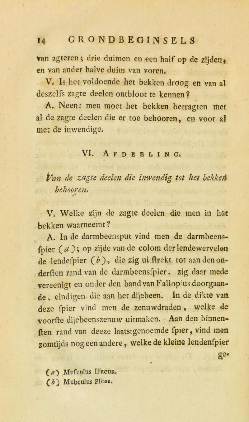 Van agteren; drie duimen en een halfop de zijden* en van ander halve duim van voren. V. Is het voldoende het bekken droog en van al deszelfs zagte deelen ontbloot te kennen? A. Neen: men moet het bekken betragten met al de zagte deelcn die er toe behooren, en voor al met de inwendige. VI. AfDEELINCa Van de zagte deelen die inwendig tot het bekketi behooren», V. Welke zijn de zagte deelen die men in höt bekken waarneemt ? A. In de darmbeensput vind men de darmbeens- fpier Qa ); op zijde van de colom der lendewervelen de lendefpier (£), die zig uitftrekt tot aan den on- derden rand van de darmbeensfpier, zig daar mede vereenigt en onder den band van Fallop us doorgaan- de, eindigen die aan het dijebeen. In de dikte van deze fpier vind men de zenuwdraden , welke de voorde dijebeenszenuw uitmaken. Aan den binnen- den rand van deeze laatstgenoemde fpier, vind men zomtijds nog een andere, welke de kleine lendenfpier , Se' * (a) Miifctiltis Iliacus, ( b ) Mubeulus Pfoas.