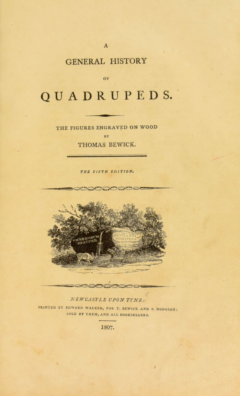 A GENERAL HISTORY OF QUADRUPEDS. THE FIGURES ENGRAVED ON WOOD BY THOMAS BEWICK. THE FIFTH EDITION. NEWCASTLE UPON TYNE: PRINTED BY EDWARD WALKER, FOR T. BEWICK AND S. HODGSON SOLD BY THEM, AND ALL BOOKSELLERS. 1807. <Vi»'