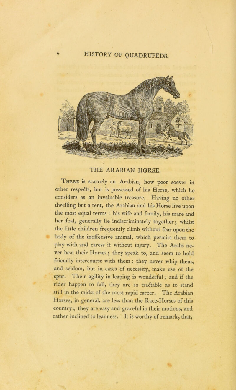 i THE ARABIAN HORSE. There is scarcely an Arabian, how poor soever in other respe&s, but is possessed of his Horse, which he considers as an invaluable treasure. Having no other dwelling but a tent, the Arabian and his Horse live upon the most equal terms : his wife and family, his mare and her foal, generally lie indiscriminately together; whilst the little children frequently climb without fear upon the body of the inoffensive animal, which permits them to play with and caress it without injury. The Arabs ne- ver beat their Horses; they speak to, and seem to hold friendly intercourse with them : they never whip them, and seldom, but in cases of necessity, make use of the spur. Their agility in leaping is wonderful; and if the rider happen to fall, they are so tractable as to stand still in the midst of the most rapid career. The Arabian Horses, in general, are less than the Race-Horses of this country ; they are easy and graceful in their motions, and rather inclined to leanness. It is worthy of remark, that,