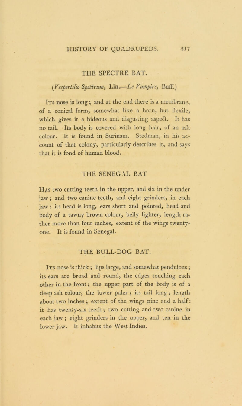 THE SPECTRE BAT. {Vespertlllo Spectrum, Lin.—Le Vampire, Buff.) Its nose is long; and at the end there is a membrane, of a conical form, somewhat like a horn, but flexile, which gives it a hideous and disgusting aspect. It has no tail. Its body is covered with long hair, of an ash colour. It is found in Surinam. Stedman, in his ac- count of that colony, particularly describes it, and says that it is fond of human blood. THE SENEGAL BAT Has two cutting teeth in the upper, and six in the under jaw and two canine teeth, and eight grinders, in each jaw : its head is long, ears short and pointed, head and body of a tawny brown colour, belly lighter, length ra- ther more than four inches, extent of the wings twenty- one. It is found in Senegal. THE BULL-DOG BAT. Its nose is thick *, lips large, and somewhat pendulous ; its ears are broad and round, the edges touching each other in the front; the upper part of the body is of a deep ash colour, the lower paler ; its tail long; length about two inches ; extent of the wings nine and a half: it has twenty-six teeth; two cutting and two canine in each jaw •, eight grinders in the upper, and ten in the lower jaw. It inhabits the West Indies.