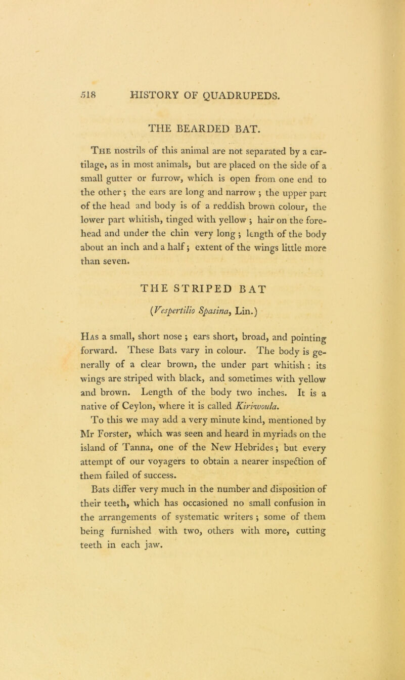 THE BEARDED BAT. The nostrils of this animal are not separated by a car- tilage, as in most animals, but are placed on the side of a small gutter or furrow, which is open from one end to the other ; the ears are long and narrow ; the upper part of the head and body is of a reddish brown colour, the lower part whitish, tinged with yellow ; hair on the fore- head and under the chin very long ; length of the body about an inch and a half; extent of the wings little more than seven. THE STRIPED BAT {Vespertilio Spasina, Lin.) Has a small, short nose ; ears short, broad, and pointing forward. These Bats vary in colour. The body is ge- nerally of a clear brown, the under part whitish : its wings are striped with black, and sometimes with yellow and brown. Length of the body two inches. It is a native of Ceylon, where it is called Kirhvoula. To this we may add a very minute kind, mentioned by Mr Forster, which was seen and heard in myriads on the island of Tanna, one of the New Hebrides; but every attempt of our voyagers to obtain a nearer inspection of them failed of success. Bats differ very much in the number and disposition of their teeth, which has occasioned no small confusion in the arrangements of systematic writers ; some of them being furnished with two, others with more, cutting teeth in each jaw.