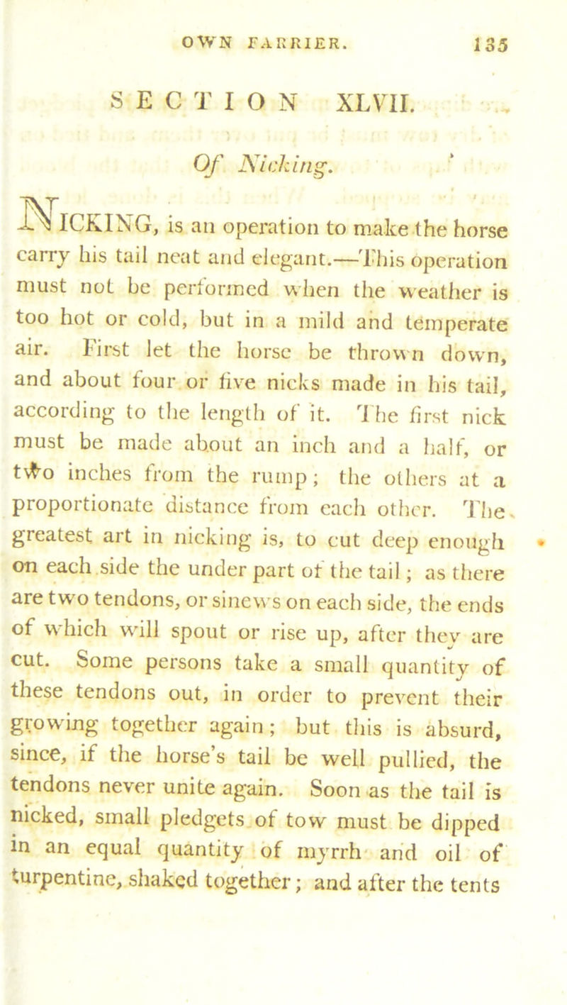 SECTION XLYTI. Of Nicking. Mick KING, is an operation to make the horse carry his tail neat and elegant.—This operation must not be performed w hen the weather is too hot or cold, but in a mild and temperate air. First let the horse be thrown down, and about four or live nicks made in his tail, according to the length of it. The first nick must be made about an inch and a half, or t'fro inches from the rump; the others at a proportionate distance from each other. The greatest art in nicking is, to cut deep enough on each side the under part of the tail; as there are two tendons, or sinews on each side, the ends of which will spout or rise up, after thev are cut. Some persons take a small quantity of these tendons out, in order to prevent their growing together again; but this is absurd, since, if the horse’s tail be well pul lied, the tendons never unite again. Soon as the tail is nicked, small pledgets of tow must be dipped in an equal quantity of myrrh and oil of turpentine, shaked together; and after the tents