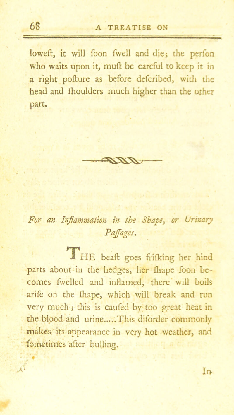 lowed, it will Toon fwell and die; the perfon who waits upon it, mud be careful to keep it in a right podure as before defcribed, with the head and Ihoulders much higher than the other part. For an Inflammation in the Shape, or Urinary Pajfages. TTVlE bead goes frifking her hind parts about in the hedges, her fhape loon be- comes fwelled and inflamed, there will boils arife on the fhape, which will break and run very much ; this is caufed by too great heat in the blood and urine This diforder commonly makes its appearance in very hot weather, and fometimes after bulling.