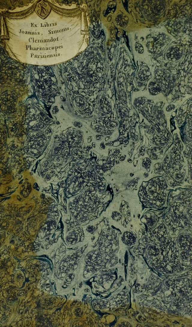 No text description is available for this image