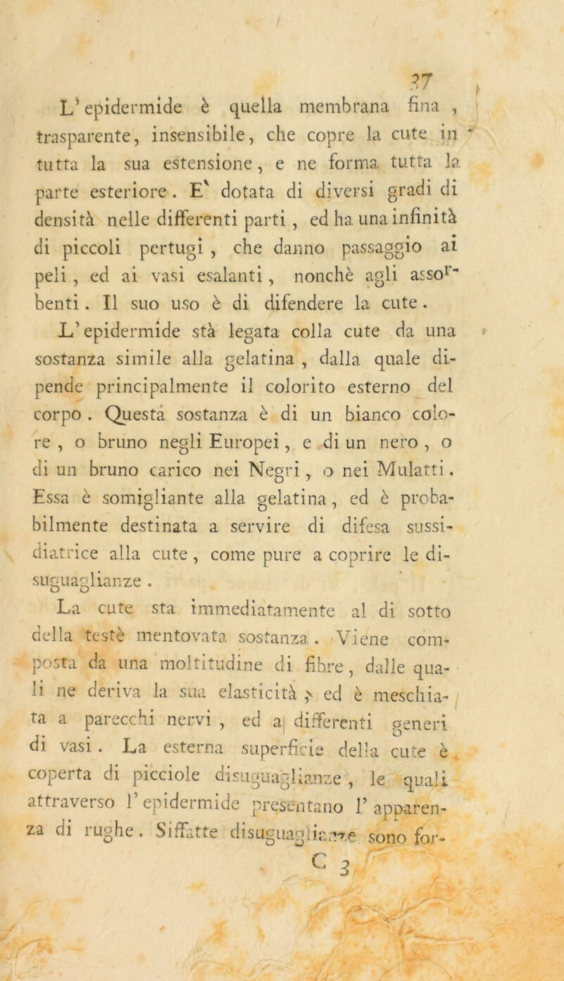 &amp; m - ) -L'epidermide è quella membrana fina , | trasparente, insensibile, che copre la cute in F\ tutta la sua estensione , e ne forma. tutta la : + parte esteriore. E° dotata di diversi gradi di densità nelle differenti parti, ed ha una infinità di piccoli pertugi, che danno passaggio ai peli, ed ai vasi esalanti, nonchè agli assol- benti. Il suo uso è di difendere la cute. L2 epidermide stà legata æ cute da una * sostanza simile alla gelatina, dalla quale di- pende- principalmente il bo esterno del corpo. Questa sostanza è di un bianco colo- } , © bruno negli Europei, e.diun nero, o di un bruno carico nei Negri, 0 nei Mulatti. Essa è somigliante alla gelatina, ed è proba- bilmente destinata a servire di difesa sussi- , diatrice alla cute, come pure a coprire le di- Ÿ suguaglianze . ‘ La cute sta tmmediatamente al di sotto mentovata sostanza. :Viéne com: # posta “una moltitudine di. fibre , dalle qua- hi ne dériva\lasShia elasticità x ed F meschia- | d' tata parecchi nervi, ed a difetint, generi di vasi. La per superficie della cute à, = coperta di picciole disuguag glianze,, Je quali L attraverso l’epidermide preséntano l’appañer za di rughe. Siffitte disuguaglie ane TA  F 