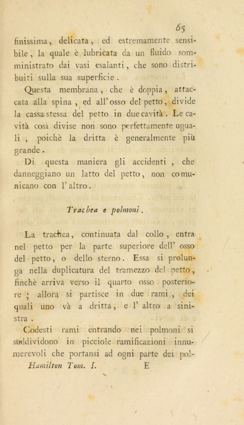 finissima , delicata , ed estremamente sensi- bile, la quale è lubricata da un fluido som- ministrato dat vasi esalanti, che sono distri buiti sulla sua superficie . Questa membrana, che è doppia ; attac- cata alla spina ,. ed all’osso del: petto ,idivide la cassastessa del petto in due cavità. Le ca- vità cosi divise non sono perfettamente ugua- li , poichè la dritta è generalmente più grande . Di questa maniera gli accidenti , che danneggiano un latto del petto, non comu- nicano con l’altro. ! Trachea e polmon: . La trachea, continuata dal collo, entra nel petto per la parte superiore dell” osso del petto, o dello sterno. Essa s1 prolun- ga nella duplicatura del tramezzo del. petto, finchè arriva verso 1l quarto OSSO posterio- re : callora si partisce in due rami, der quali uno vàa à dritta, e l’ altro a ‘sini- stra . Codesti rami enträndo nei polmoni- si süddividono in picciole ramificazioni innu- merevoli che portanst ad ogni parte dei pol- Hamilton Tom. I. E