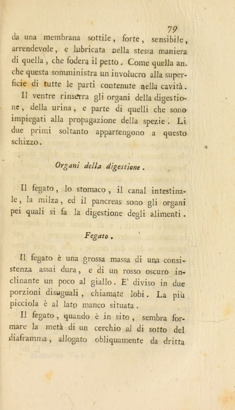 da una membrana sottile, forte, sensibile, arrendevole, e lubricata nella stessa maniera di quella , che fodera il petto. Come quella an. che questa somministra un involucro alla super- ficie di tutte le parti contenute nella cavità. Il ventre rinsérra gli organi della digestio- ne, della urina, e parte di quelli che sono impiegati alla propagazione della spezie. Lai due primi soltanto appartengono a questo schizzo, Organi della digestione. Il fegato, lo stomaco, il canal intestina- le, la milza, ed il pancreas sono gli organi pei quali si fa la digestione degli alimenti . Fegato, [1 fegato è una érossa massa di una consi- stenza assai dura, e di un rosso oscuro in- chinante un poco al giallo. E diviso in due porzioni disuguali, chiamate lobi. La più picciola è al lato manco situata. Il fegato, quando è in sito, sembra for- mare la metà di un cerchio al di sotto del diaframma, allogato obliquamente da dritta