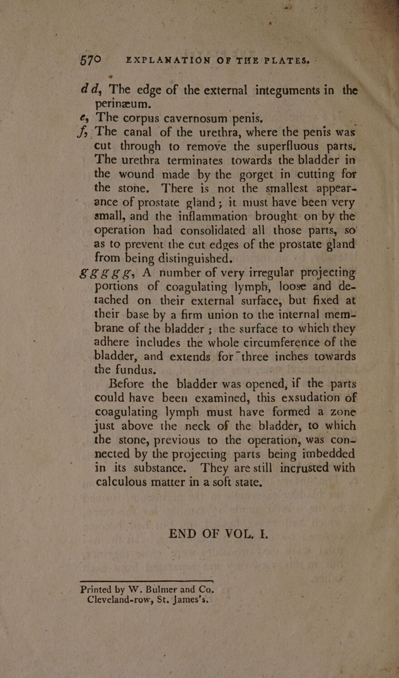 - ae 570 EXPLANATION OF THE PLATES. © dd, The edge of the external integuments in the’ Ye perineum. hi, é, The corpus cavernosum penis. ee J; The canal of the urethra, where the penis was | cut through to remove the superfluous parts. The urethra terminates towards the bladder in the wound made by the gorget in cutting for the stone. There is not the smallest appear- ance of prostate gland; it must have been very | small, and the inflammation brought on by the operation had consolidated all those parts, so as to prevent the cut edges of the prostate gland a ae distinguished. &amp;S8Eg, A number of very irregular projecting Sot of coagulating lymph, loose and de- tached on their external surface, but fixed at their base by a firm union to the internal mem- brane of the bladder ; the surface to which they adhere includes the whole circumference of the bladder, and extends for” three inches towards the fundus. Before the bladder was opened if the parts could have been examined, this exsudation of coagulating lymph must have formed a zone just above the neck of the. bladder, to which the stone, previous to the operation, was con- nected by the projecting parts being imbedded in its substance. They are still incrusted with calculous matter in a soft state. END OF VOL, 1. Printed by W. Bulmer and Ca. Cleveland-row, St. 'James’s.