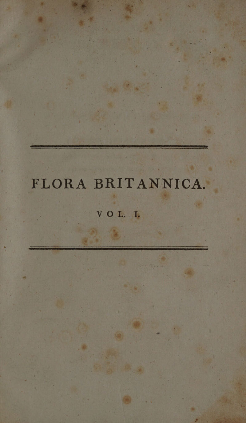 i4: y. e; euh AA L7 FLORA BRITAN ab NICA. 4 v  E / - Ww MT * hi LU » : y 4 uo * a Á hcl  y ; E bm ^ Am: ^ ; 4 n bó TREE aw,  P-j ^s ' * cr N^ : : - - i L3 1 lU