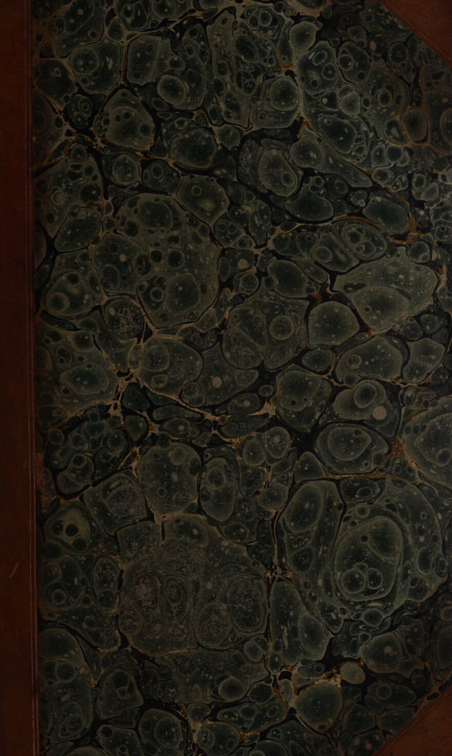 digitised image 1