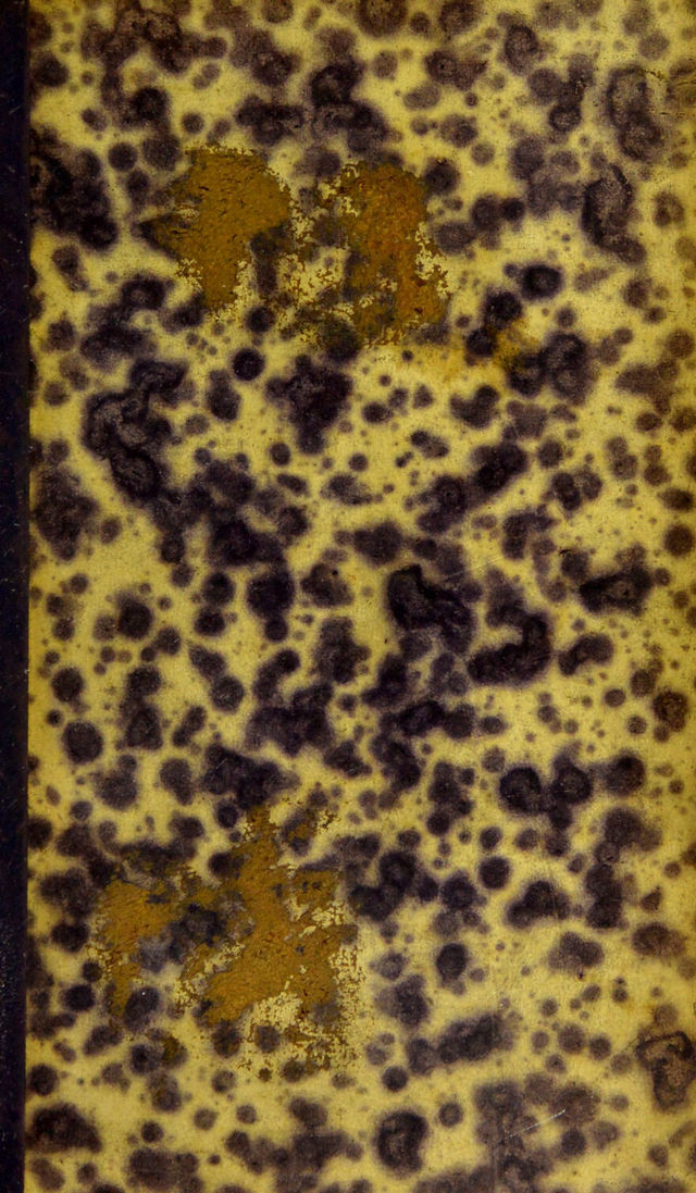 digitised image 1