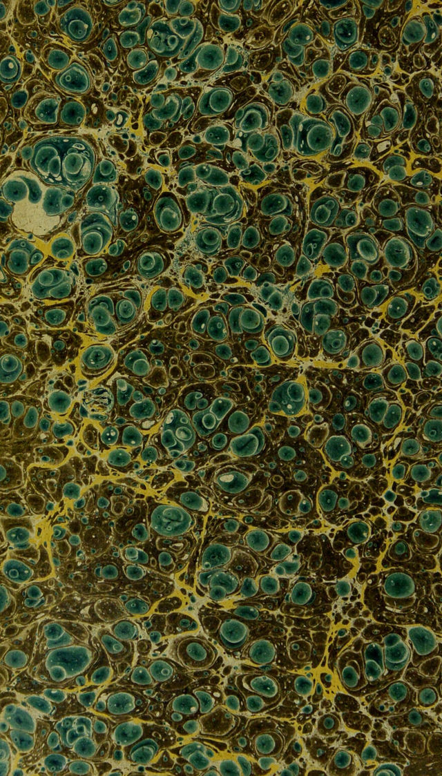 digitised image 2