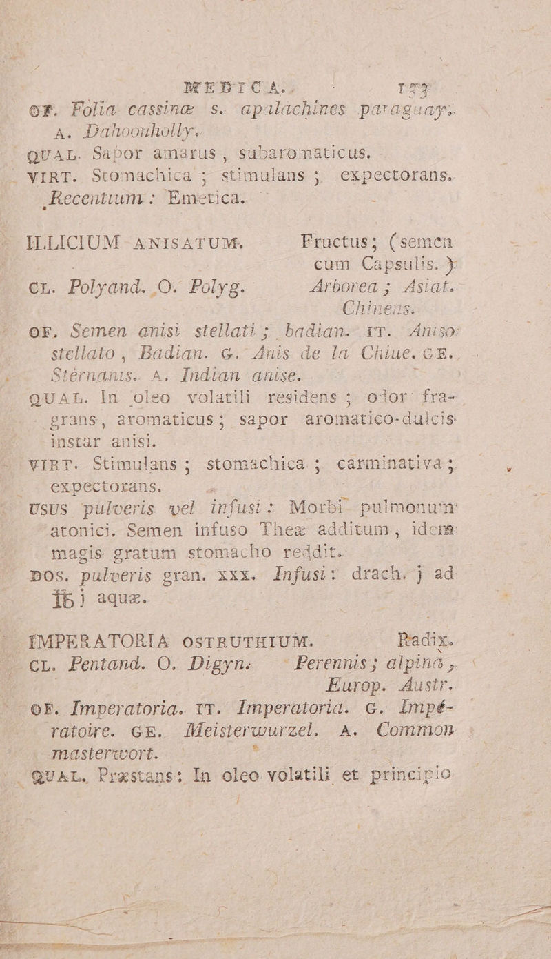 or. Folia. cassing s. ‘apalachines para gu api A. Dahoonholly.. _Recentium:: Emetca. ^ ; ILLICIUM - ANISATUM. Fructus; (semen cum Capsulis. Y Arborea ; siat. Chinens. cL. Polyand. 0. Polyg. Stérnanis. A. Indian anise. QUAL. In fe; volatili residens ; odor. fra- grans, aromaticus; sapor aromatico-duicis instar anisi. | VIRT. Stimulans; stomachica ; carminativa ;, expectorans. s JUSUS pulveris vel infusi: Morbi pulmonum atonici. Semen infuso Thea additum , ident: magis gratum stomacho reddit. DOS. pule ceris gran. xxx. Infusi: drach. ad {6 ) aqux. Europ. Austr. ratoire. GE. IMeisierwurzel. A. Common masterwort. 7 í F