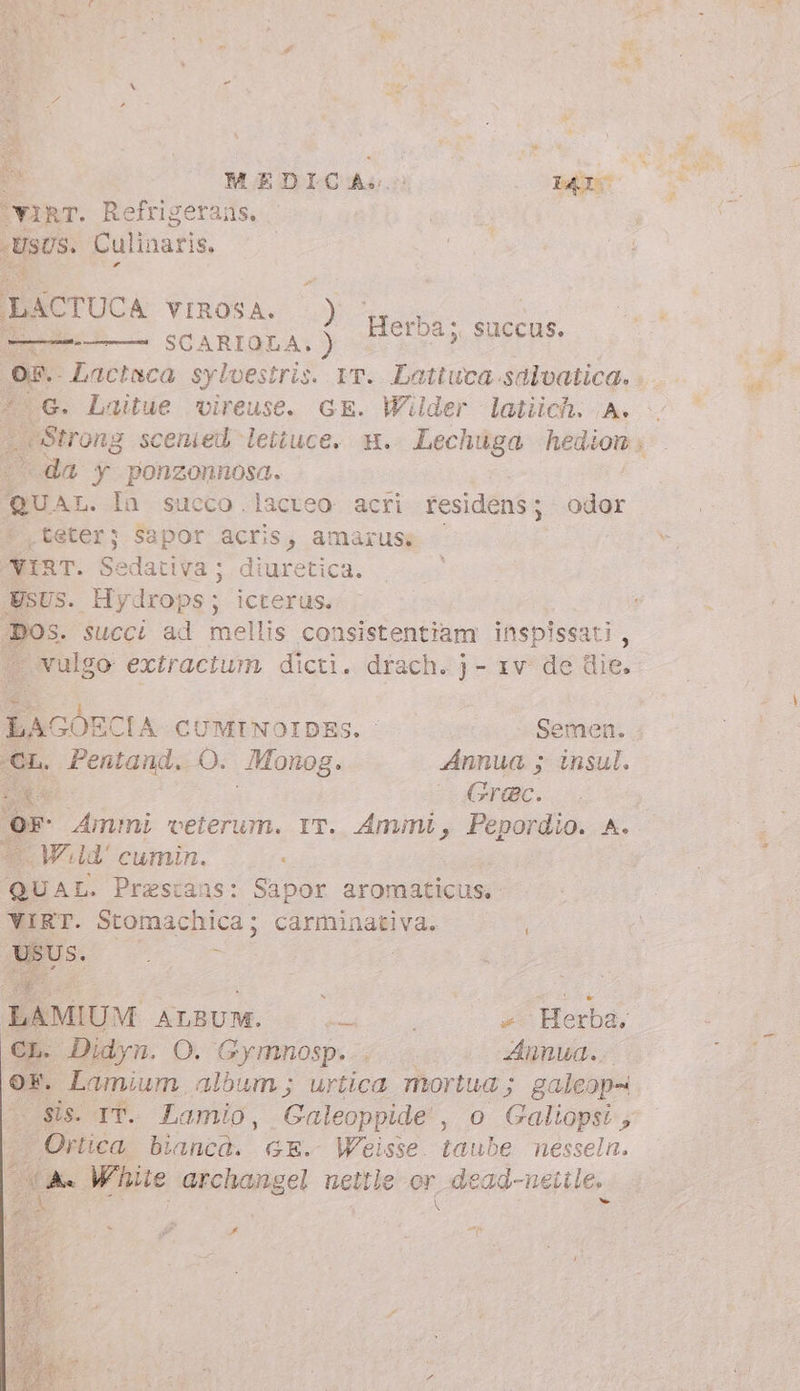 MEDICA: Igt ‘virm. Refrigerans, Usus. Culinaris. LACTUCA VIROSA. ) Herba; saccus SCARIOLA. ) [MES »* —— (6. Laitue vireuse. GE. Wilder latiich. A. Strong scenied leituce. H. Lechuga hedion; da y ponzonnosa. QUAL. la succo.lacteo acri residens; odor .teter; Sapor acris, amarus: YIRT. Sedativa ;. diuretica. USUS. Hydrops; icterus. Dos. succi ad mellis consistentiam inspissati , ulgo extractum dicti. drach. j - 1v: de die. LAGOECIA CUMINOIDES. Semen. €r. Pentand. O. Monog. Annua ; insul. Dg - Grac. OF Amtini veterum. IT. Ammi, Pepordio. A. « W^ld' cumin. : QUAL. Prestans: Sapor aromaticus. YIRT. Stomachica ; carminativa. ^ M à T LAMIUM O «rac E Herb (CL. Didyn. O. Gymnosp. Annua.. Ortica biancà. GE. Weisse. taube nesseln. LM White archangel neitle or dead-netile. sh ere 9 \ v» m se