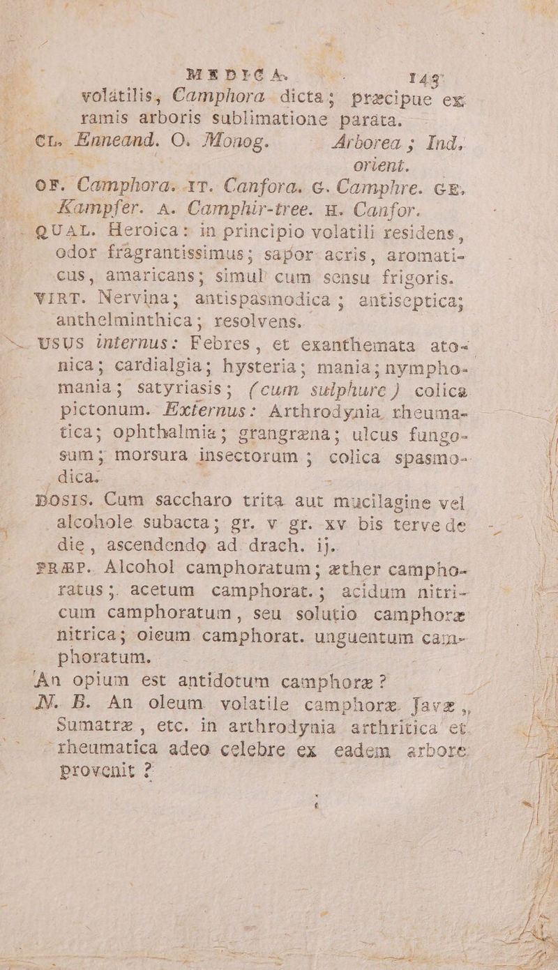 MEDICA. Fa 143° volatilis; Camphora dicta; precipue ex 5 bee i B ramis arboris sublimatione parata. E Enneand. O. Monog. Arborea ; Ind, a orient. OF. Catuphoras AT. Canfora. c. Camphre. GE, ^ oKampfér. A. Camphir- tree. H. Euufor. - QUAL. Heroica: in principio volatili resid lens, odor fragrantissimus; sapor- acris, aromati- cus, amaricans; simul' cum sensu frigoris. VIRT. Nervina; antispasmodica ; antiscptica; anthelminthica; resolvens.. — USUS internus: Febres, et exanthemata ato- nica; cardialgia; hysteria; mania; nympho- mania; satyriasis; (cum sulphure ) colica pictonum. Exfernus : Arthrodynia rheuma- . — - | tica; ophthalmis ; grangrena; ulcus fungo- / sum; morsura insectorum ; colica spasmo- i ; dicas er | posis. Cam cilia trita aut mucilagine vel alcohole subacta; gr. v gr. xv bis tervede - die, ascendendo ad drach. i! PRUAP. Alcohol camphoratum; zther campho- ratus;. acetum camphorat.; acidum nitri- ^^ (© cum camphoratum, seu solutio camphorz LS nitrica; oieum. camphorat. unguentum cam» | phoratum. - o En An opium est antidotum camphore ? 2 hi JV. B. An oleum volatile camphorz. Javz ,, ri Sumatra, etc. in arthrodynia arthritica et dis rheumatica adeo celebre ex eadem arbore. » provenit 2 | ^ è : Ru