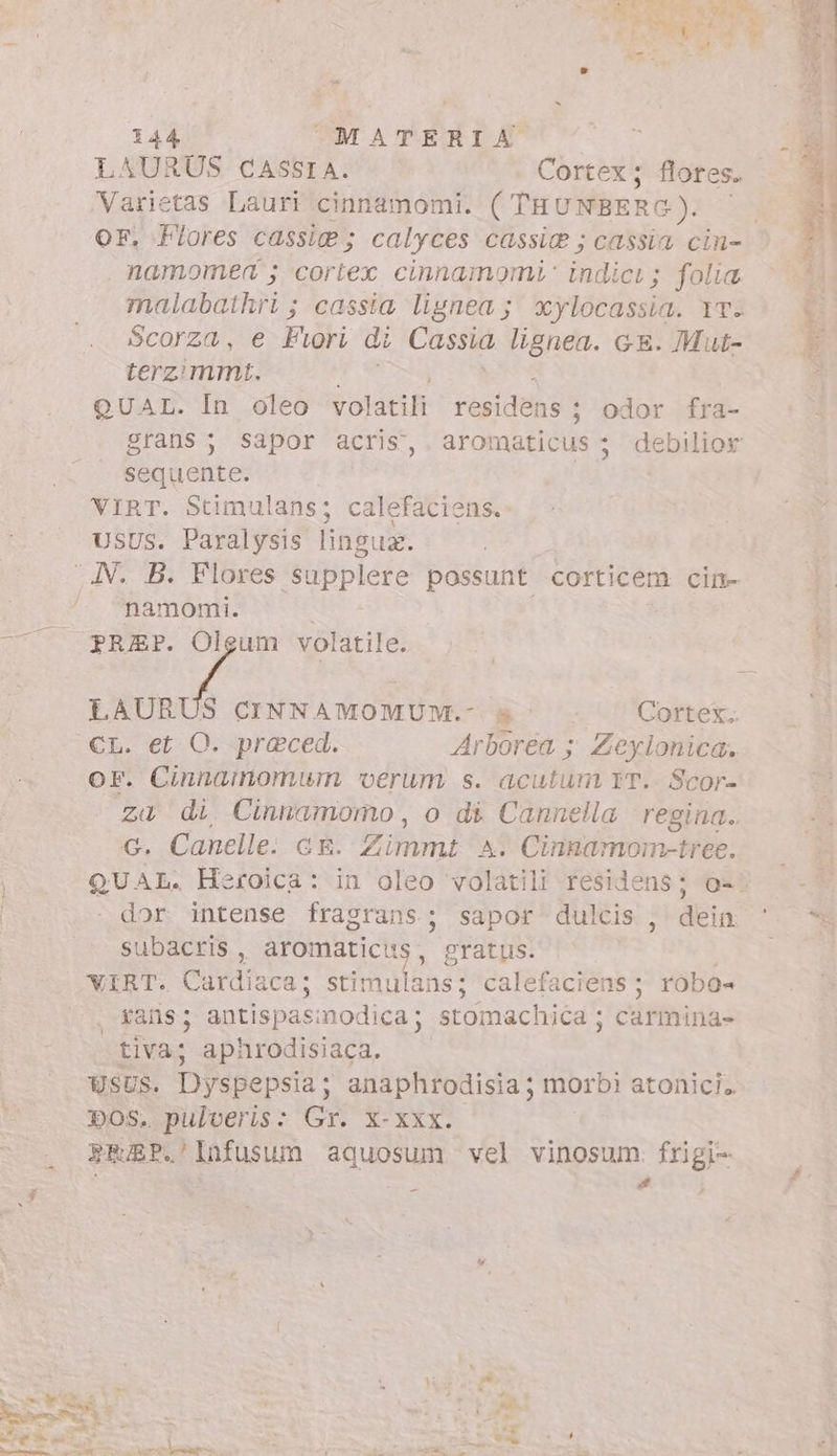 LAURÜS CASSIA. Cortex; flores.” Varietas Lauri cinnamomi. ( TRU NBERG.). x OF, Flores cassig ; calyces cassie ; cassia cin- . namomeq ; cortlex cinnamomi indigrs folia malabathri ; cassia lignea; xylocassia. YT. Scorza, e Fiori di Cassia lignea. GE. Mut- terzimmt. QUAL. In oleo volatili residéhs | odor fra- grans; sapor acris, . aromaticus ; debilior sequente. VIRT. Stimulans; calefaciens. USUS. Paralysis lingua. AN. B. Flores supplere possunt corticem cin- ^ ^namomi. ^^ . REF. Oleum volatile. eL gem LAURUS CINNAMOMUM.- è Cortex.. CL. et O. praeced. Arborea ; Zeylonica. or. Cinnamomum verum s. acutum IT. Scor- za di Cinmamomo, o di Cannella regina. c. Canelle: ch. Zimmt A. Cinnamom- tree. | QUAL. Heroica: in oleo volatili residens; o-- | dor intense fragrans; sapor dulcis , dein. d» subactis , aromaticits gratus. POR VIRT. Cardiaca ; stimulans; calefaciens ; robo» xans; antispasinodica; stomachica ; carmina» tiva; aphrodisiaca, WSUS. Dyspepsia; anaphrodisia; morbì atonici. 50S. pulveris: Gr. X-xxx. PRAP.' Infusum aquosum vel vinosum. frigi- | * de at e cU se CL | 3 : e]