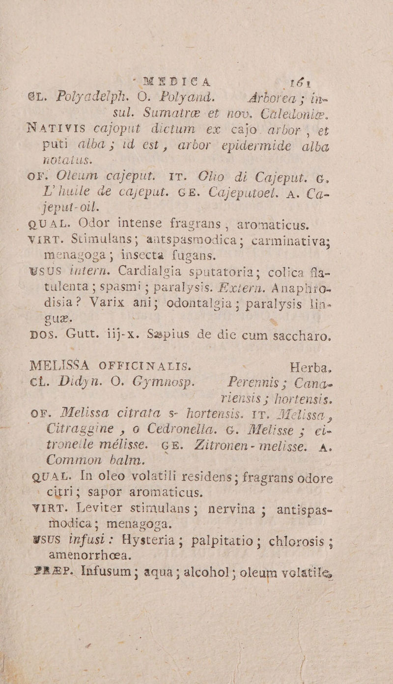 er. Polyadelph. O. Polyand. Arborea ; in- sul. Sumatra et nov. Caledlonie, NATIVIS cajoput dictum ex cajo. arbor , et puti alba ; id est, arbor epidermide alba notatus. OF. Oleum cajeput. IT. Olio di Cajeput. c. L' huie de cajeput. GE. Cajeputoel. A. Ca- jeput- oil. QUAL. Odor intense frasrans, aromaticus. ViRT. Stimulans; antspasmodica ; carminativa; menagoga ; insecta fugans. ysus intern. Cardialgia sputatoria; colica fla- tulenta ; spasmi; paralysis. Exiern. Anaphro- disia? Varix ani; odontalgia; B lin» gua. X DOS. FE 1j-x. Sapius de die cum Re MELISSA OFFICINALIS. x Herba. ci. Didyn. O. Gymnosp. Perennis ; Cana» riensis ; hortensis. Citraggine , o Cedronella. G. Melisse ; ci- troneile mélisse. GE. Zitronen - melisse. A. Common balm. QUAL. In oleo volatili residens; fragrans odore | citrij sapor aromaticus. VIRT. Leviter stimulans; nervina ; antispas- modica; menagoga. WSUS infusi : Hysteria ; palpitatio ; Silorgsis; ; amenorrheea. PREP. Infusum ; aqua; alcohol ; oleam volatile,