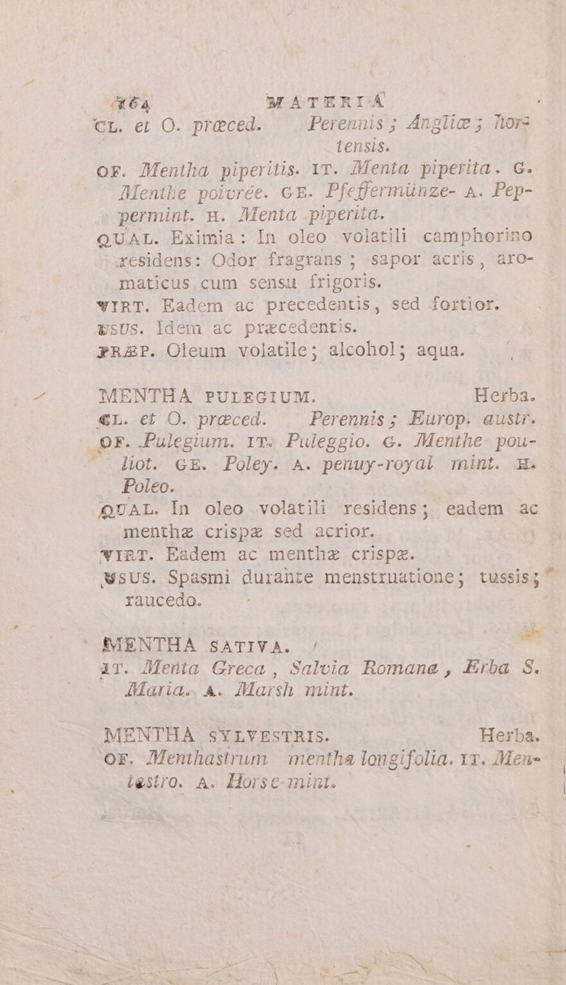a6 MATERIA i CL. et O. preced. Perennis; Anglia; Nor tensis. or. Meniha piperitis. YT. Menta piperita. G. Menthe poivrée. GE. Pfeffermünze- A. Pep- permint. m. Menta piperita. QUAL. Eximia: In oleo volatili camphorino .residens: Odor fragrans ; sapor acris, aro- maticus.cum sensu frigoris. WIRT. Eadem ac precedentis, sed fortior. USUS. Idem ac praecedentis. PREP. Oleum volatile; alcohol; aqua. MENTHA PULEGIUM. Herba. €L. et O. praeced. Perennis ; Europ. austr. OF. .JPulegium. 1T. Puleggio. c. Menthe. pou- lot. GE. Poley. A. penuy-royal mint. X, Poleo. QUAL. In oleo volatili residens; eadem ac menthz crispz sed acrior. IRT. Eadem ac mentha crispz. wsus. Spasmi durante menstruatione; tussis; ^ raucedo. Y MENTHÁA SATIVA. / nei ir. Menta Greca, Salvia Romana, Erba S. AMaria.. A. Marsh mint. MENTHA SYLVESTRIS. Herba. or. Menthastrum | mentha longifolia. 11. Men» testro. A. Horse- mint.