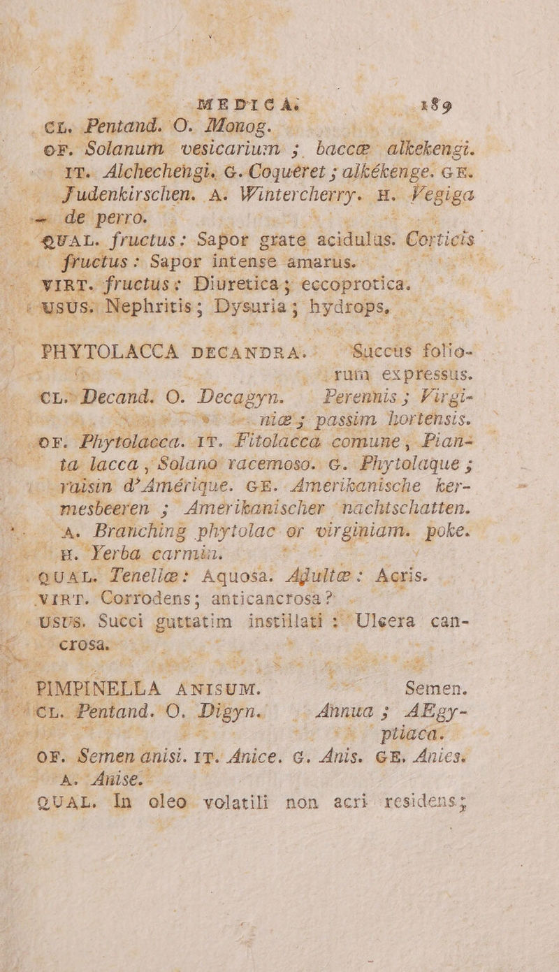 ke. (MEDICA: ^c Je jut» E. T C—À 0. Monog.. M er. Solanum vesicarium. ;. bacc. alkekengi. - 1t. Alchechengi. G. Coqueret ; alkékenge. GE. * udenkirschen. A. Winter cheeye m. Jtigo | co de perro. . de E. fructus : Sapor grate acidulas. Corticis i, fructus : Sapor intense amarüs. . . 070^ Mace. E fructus « Diuretica y ‘escoprotica. ^. ^ D USUS. s. Nephritis ; Ausuria [ byrarils, aa | PHYTOLACCA DEC ANDE A Wijicoti folio- È set. ‘rum expressus. T3 » Decand. o. Decagyn. | * Perennis} Virgi- AME Xm € Two beni passim hortensis. if jor. Sn eddaéc: at. Fitolaccà «comune; .Pian- , ta lacca , Solano racemoso. G. Phytolaque ; m raisin d Amériq: ue. GE. Amerikanische ker- è mesbeeren ; ' Amerikanischer ‘nachtschatten. ij ^ AUN Branching phytolac - or virginiam. poke. PAIR: | Yerba. carmàa. y E ‘quan: Tenelig è Aquosa. p Acris. XIRT. Corrodens; anticancrosa? - USU$. Succi pote instillati 1 Uleera can- A y €rosa.- lia m : m t a Dr. 3 Pi Ca x Me * ^ è dv ; Re / PIMPINELLA ANISUM. ^^^ — Semen. ‘ct. Pentand. 0. T aids .4nnua ; AEgy- La PE (a vis GYAV pole &gt; 1 Of. Semen. anisi. am. dnice. a. Anis. GE, Anicsi &amp;» A A. Anise. ^ QUAL. In oleo volatili non acri residens; 