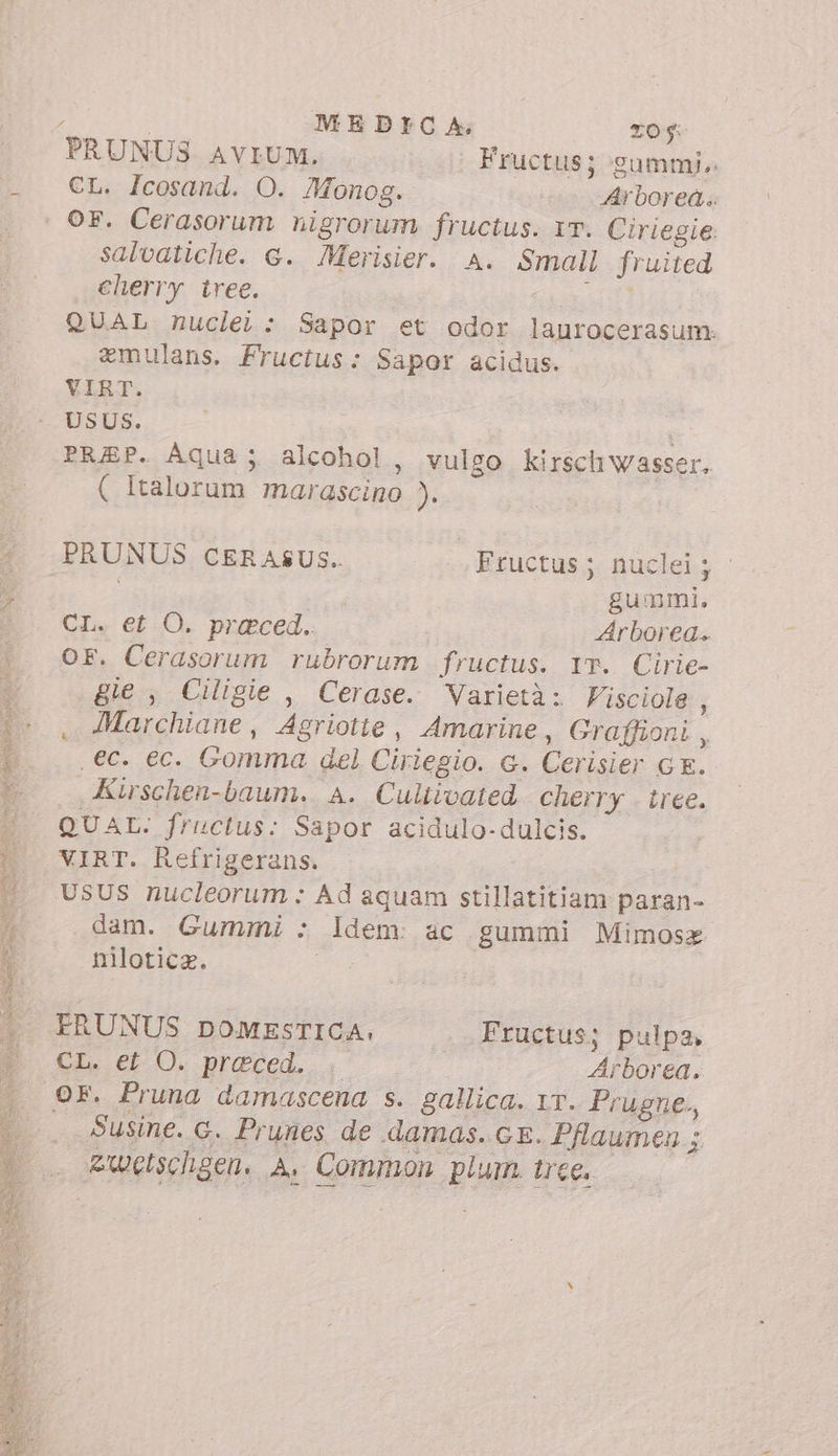 j | MEDICA zo $i PRUNUS. AVEUM. Fructus; gummi. CL. Icosand. O. Monog. Arbored.. salvatiche. d. Merisier. A. Small fruited cherry tree. pn QUAL nuclei: Sapor et odor laurocerasum. emulans. Fructus: Sapor acidus. VIRT. USUS. i PRJP. Aqua; alcohol, vulgo kirsch wasser. ( Italorum marascino ). PRUNUS CERASUS. Eructus;. nuclel; i gummi. CL. et O. praeced. Arborea. OF. Cerasorum rubrorum fructus. Yr. Cirie- gie , Ciligie , Cerase. Varietà: Fisciole , . Marchiane, Agriotte , Amarine , Graffioni , ,€c. ec. Gomma del Ciriegio. G. Cerisier GE. Kirschen-baum. A. Cultivated cherry . tree. QUAL. fructus: Sapor acidulo-dulcis. VIRT. Refrigerans. USUS nucleorum : Ad aquam stillatitiam paran- dam. Gummi : Idem: ac gummi Mimosa niloticz. | FRUNUS DOMESTICA, . FEructus; pulpa. CL. et O. preced. è. Arborea. OF. Pruna damascena s. gallica. 1T. Prugne., Susine. G. Prunes de damas. GE. Pflaumen d Ewetschgen. A. Common plum. tree.